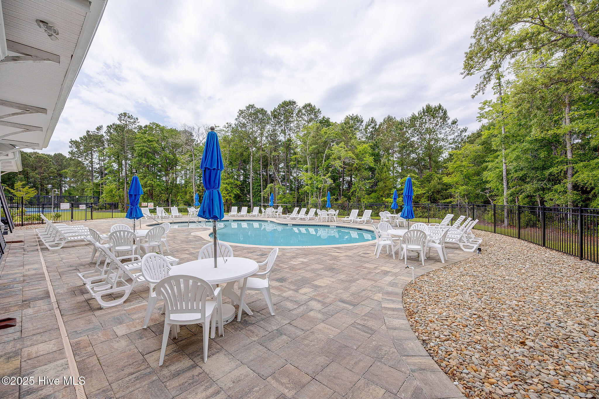 100506096 | Photo 50