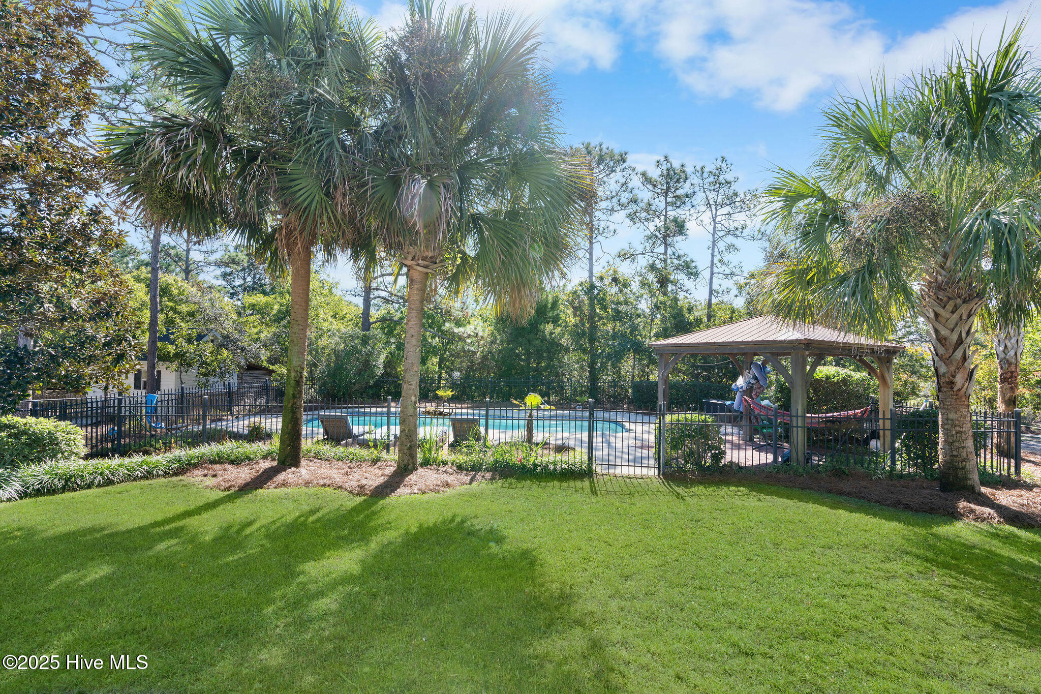 100539157 | Photo 18