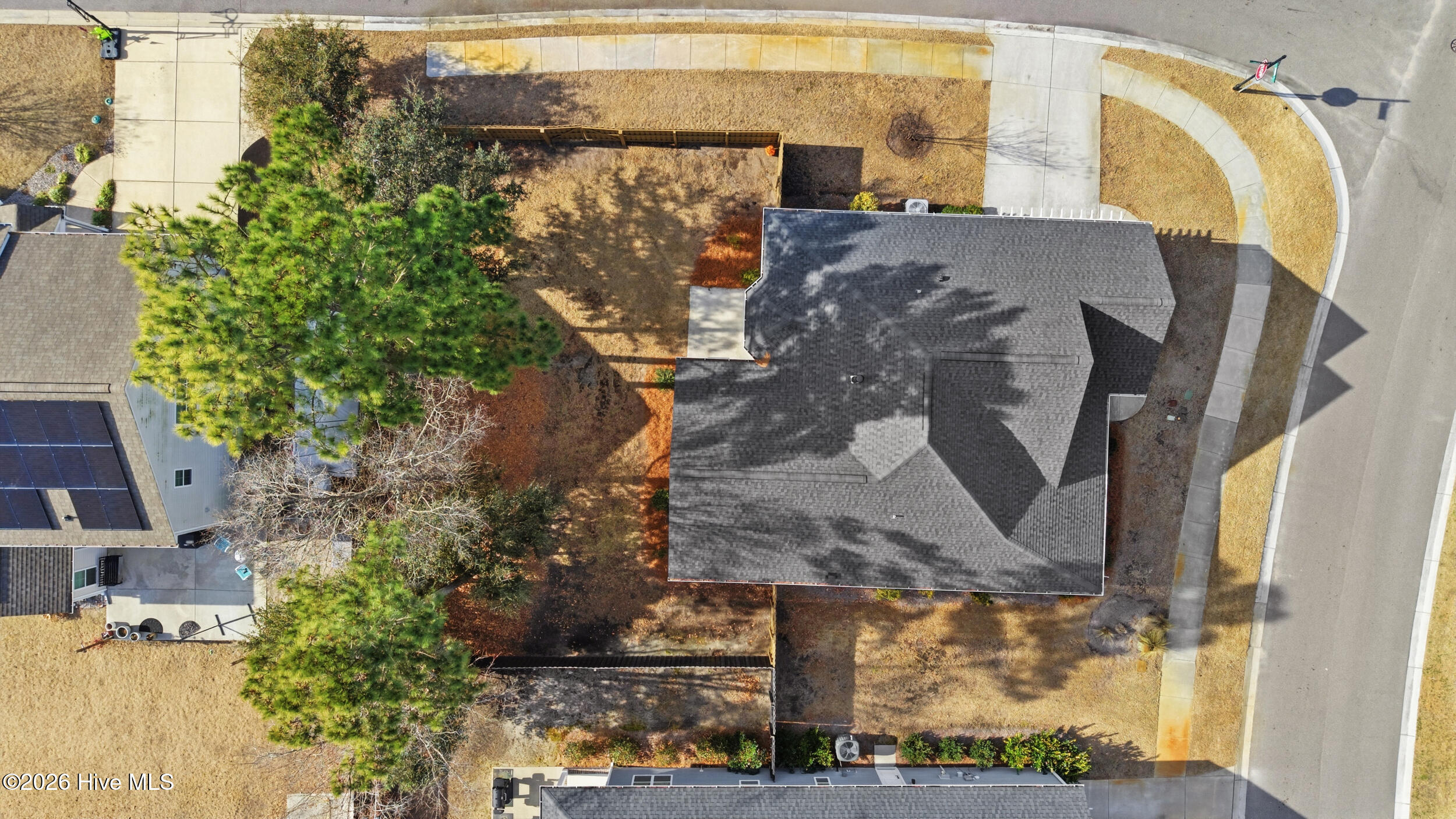 100557443 | Photo 46