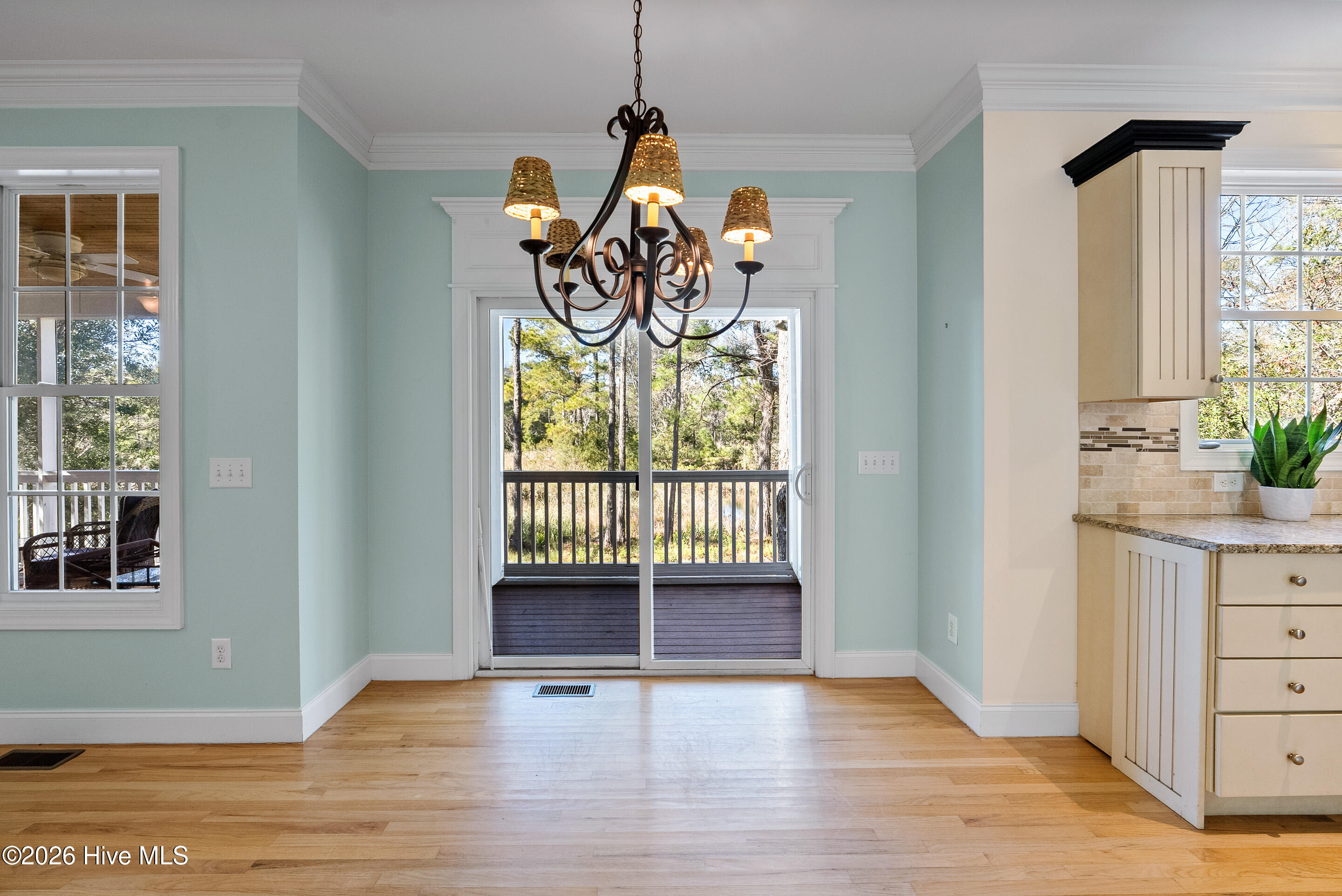 100563119 | Photo 27