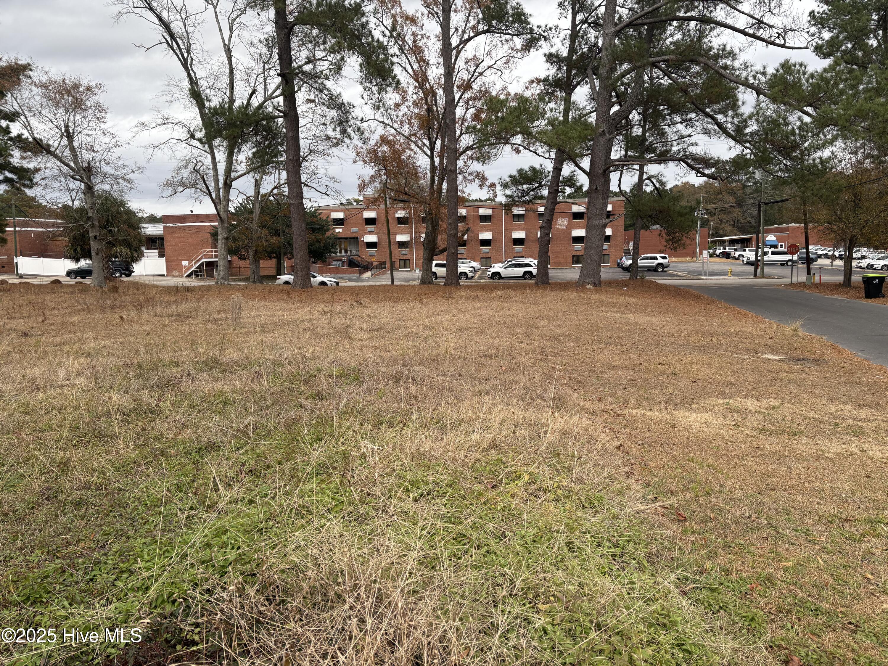 100546570 | Photo 10