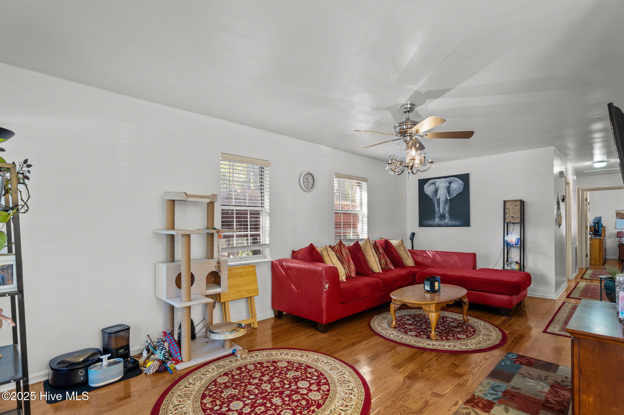 100559605 | Photo 16