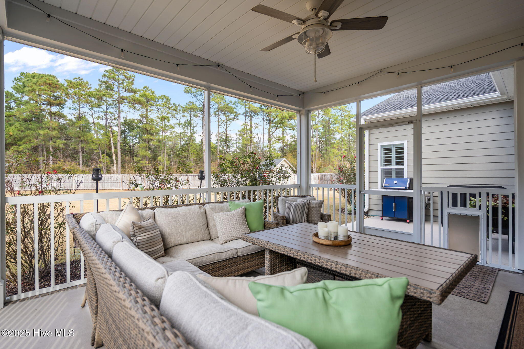 100543629 | Photo 47