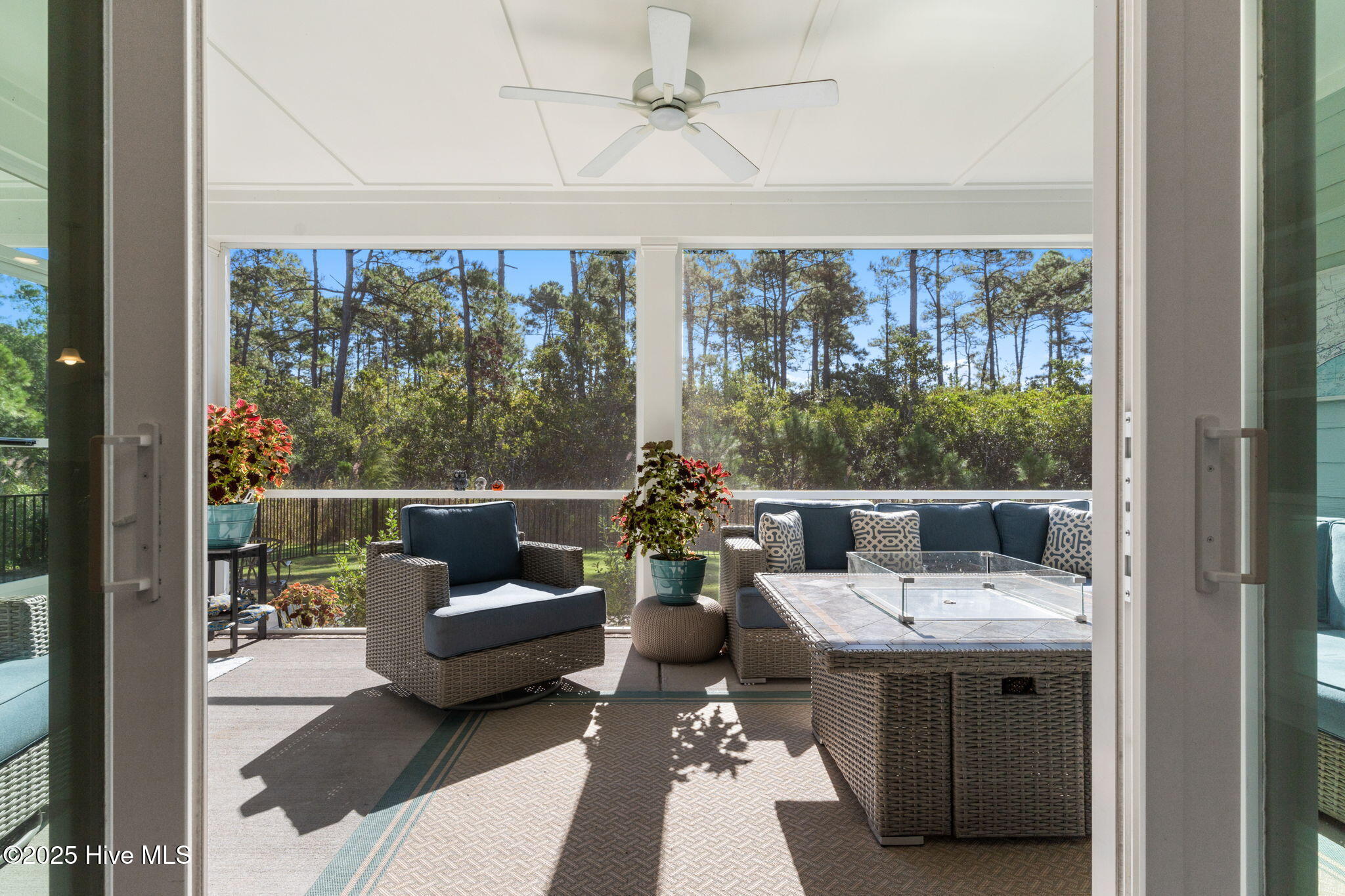 100534484 | Photo 38