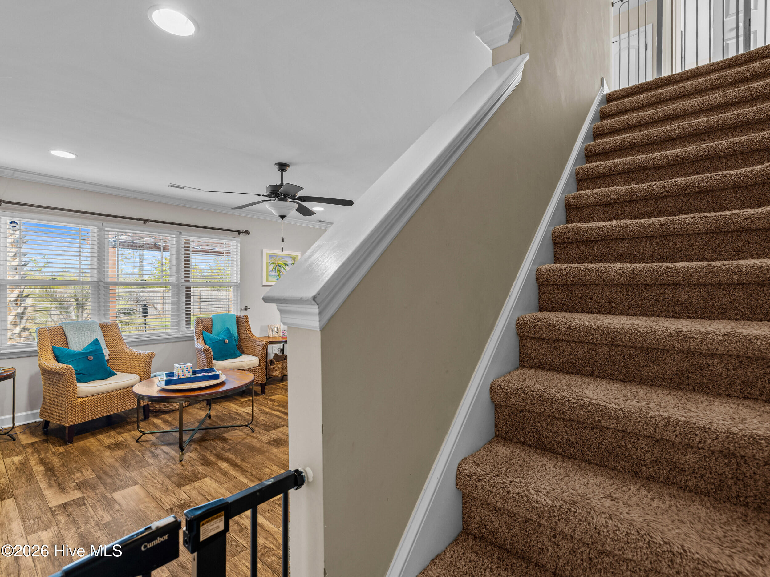 100559159 | Photo 29