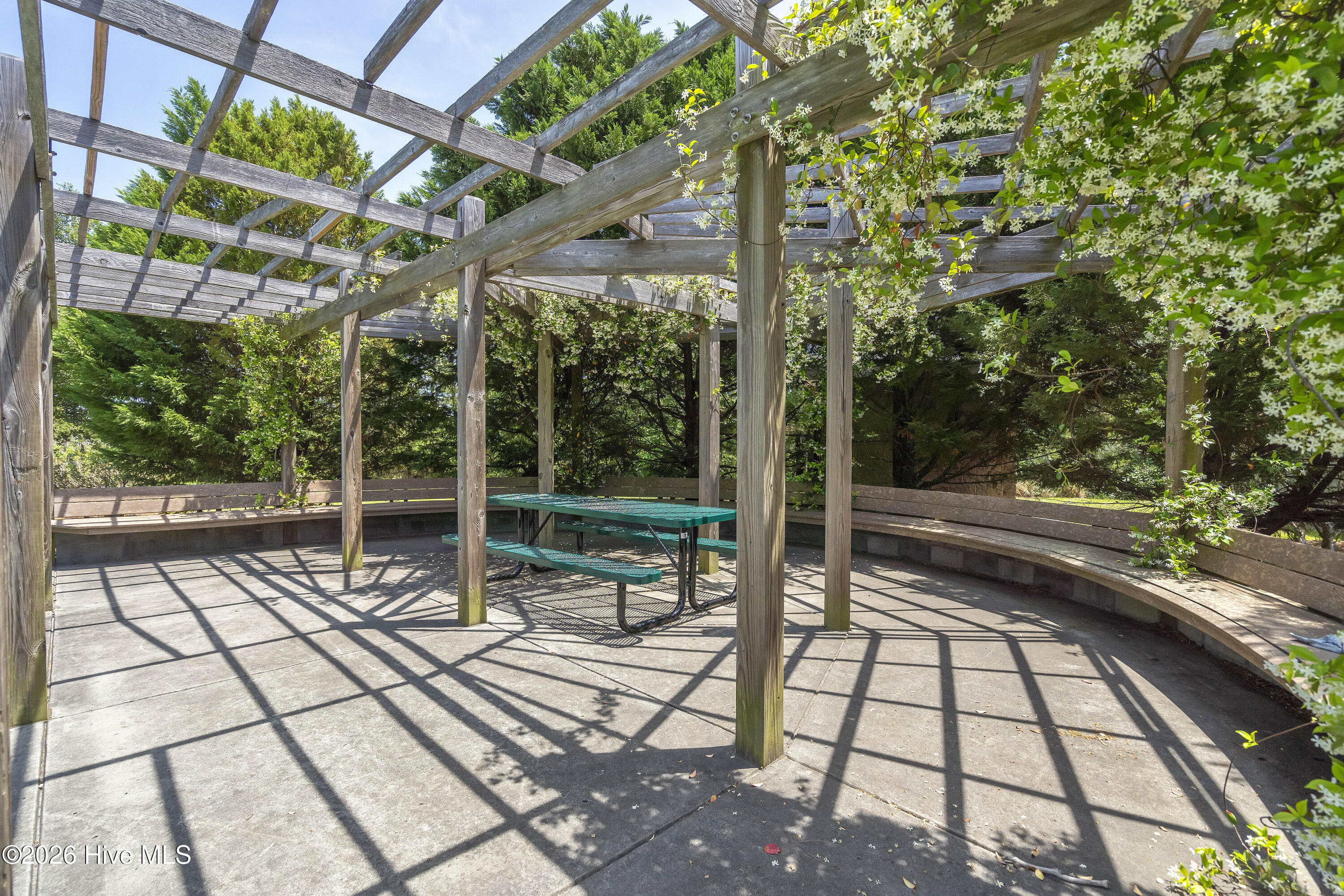 100562110 | Photo 120