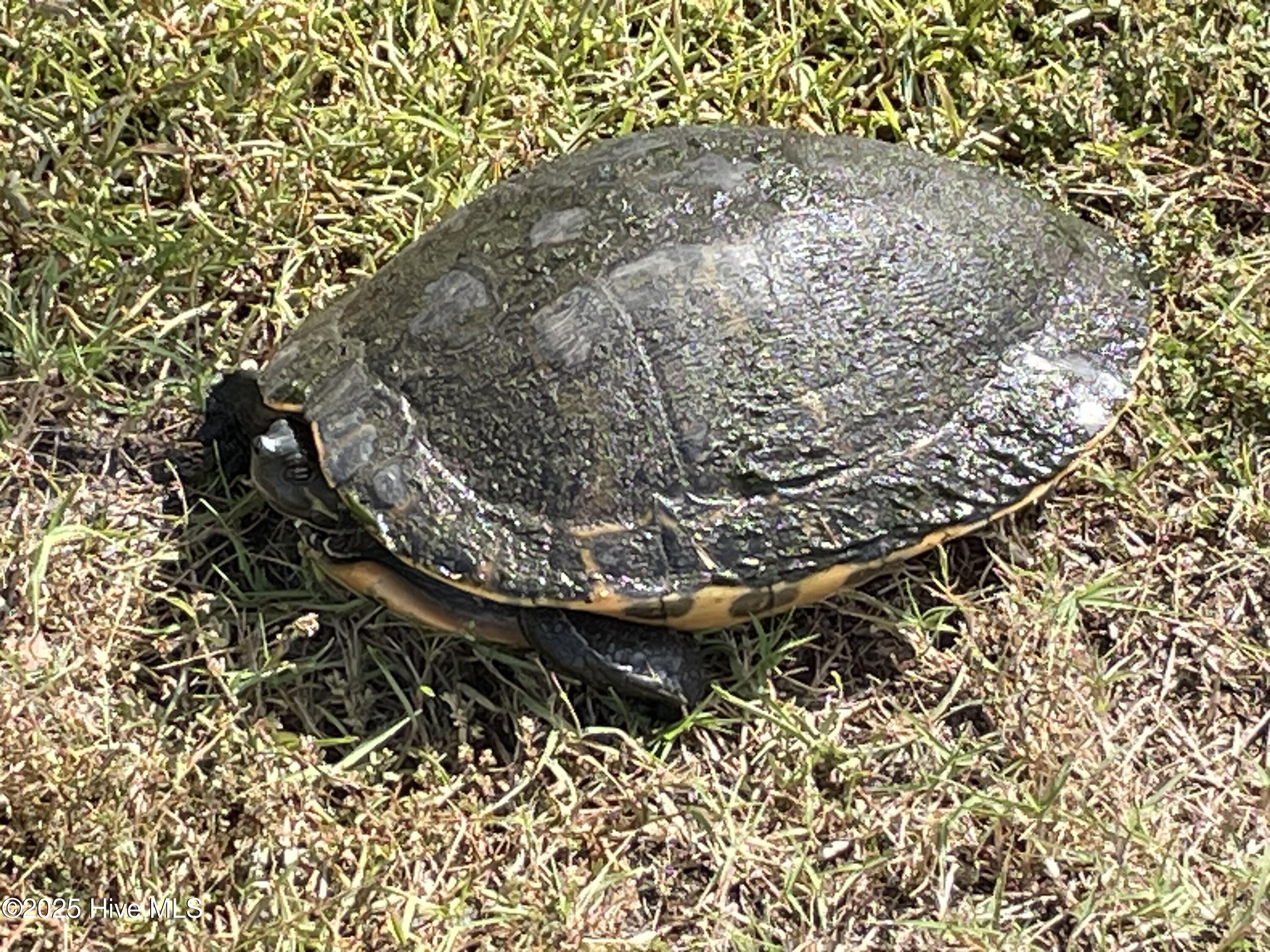 100534104 | Photo 23