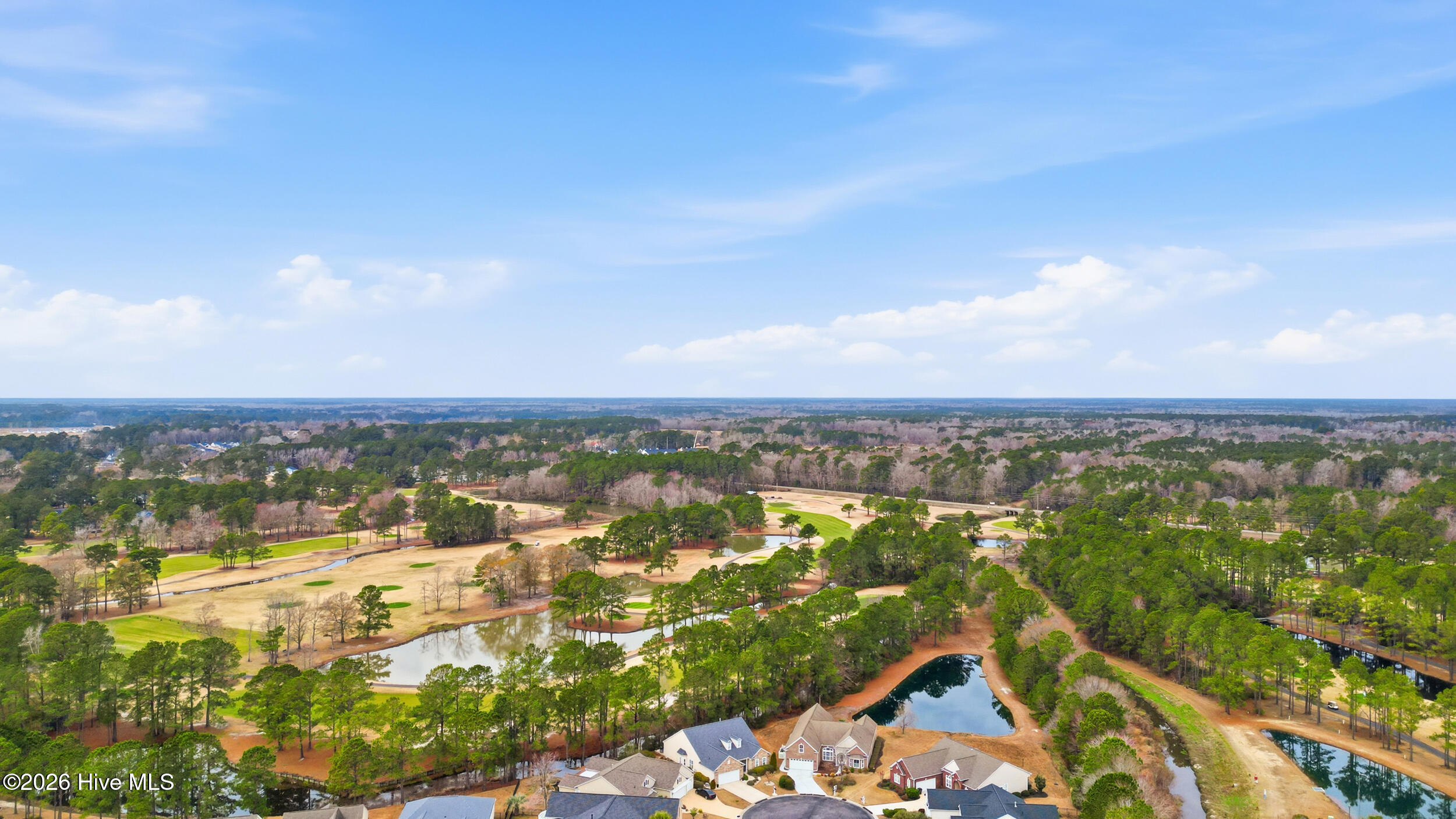 100555932 | Photo 46