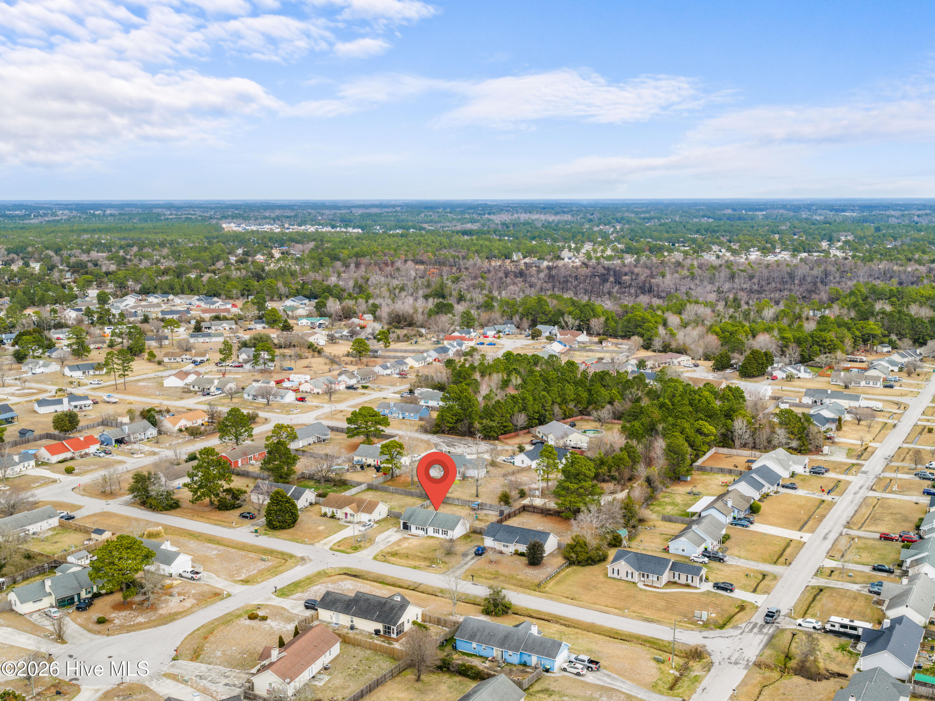 100556081 | Photo 37