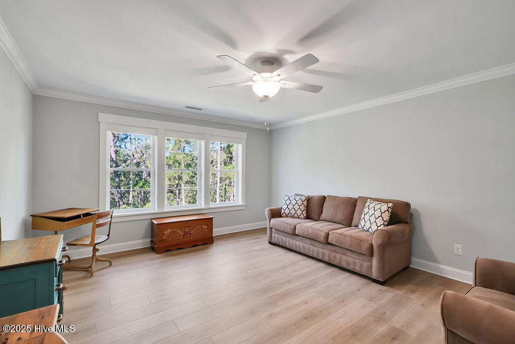 100537536 | Photo 35