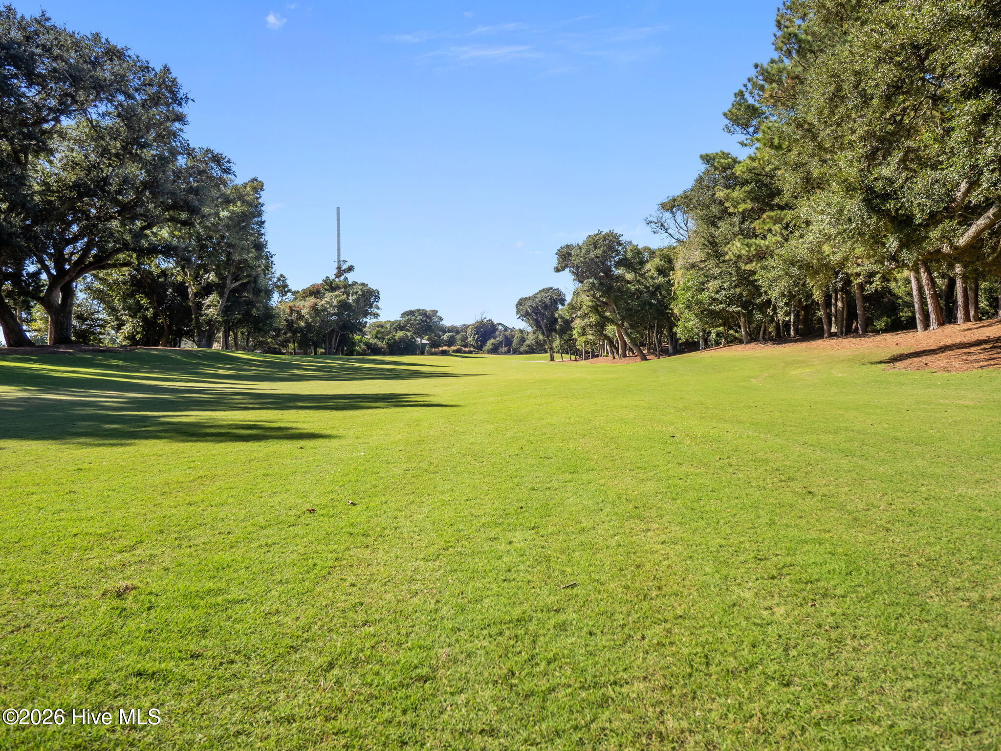 131 Oakleaf 