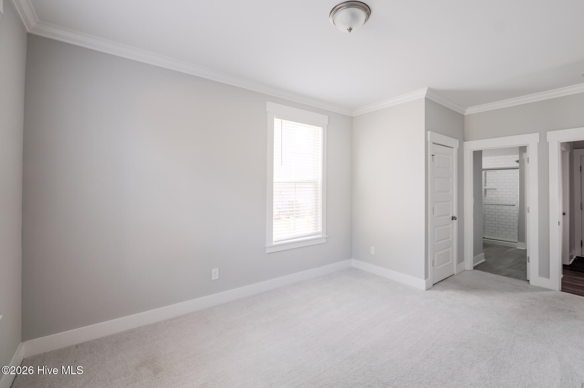 100567790 | Photo 40