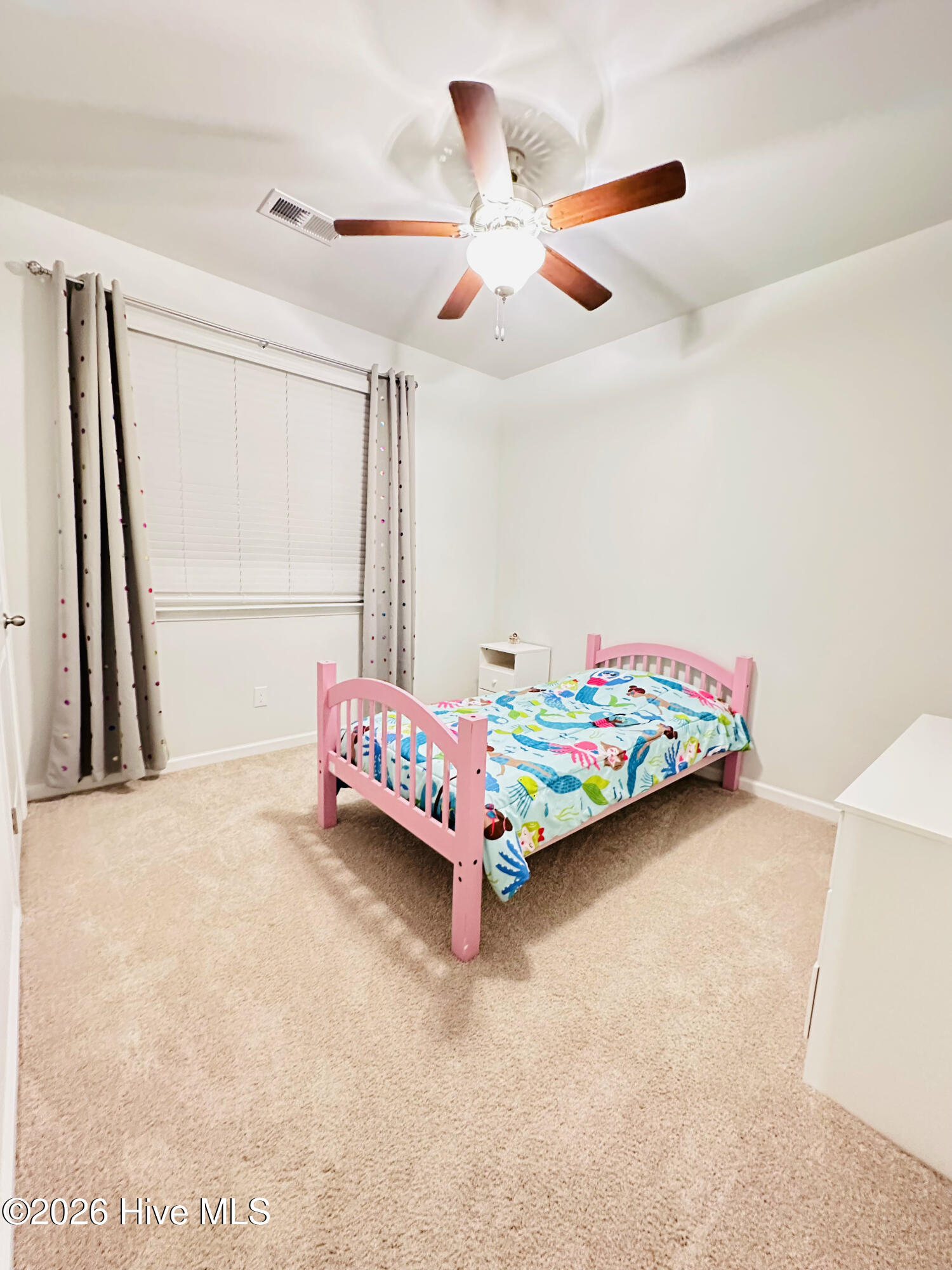 100555110 | Photo 27