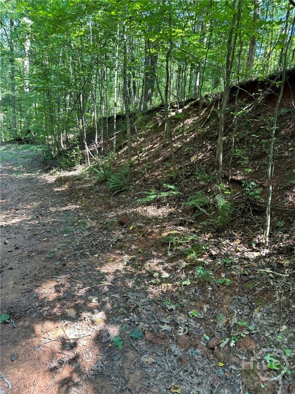 00 Fears, Madison, GA, 30650