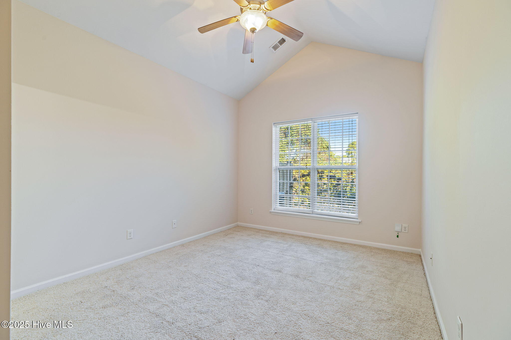 100542041 | Photo 17