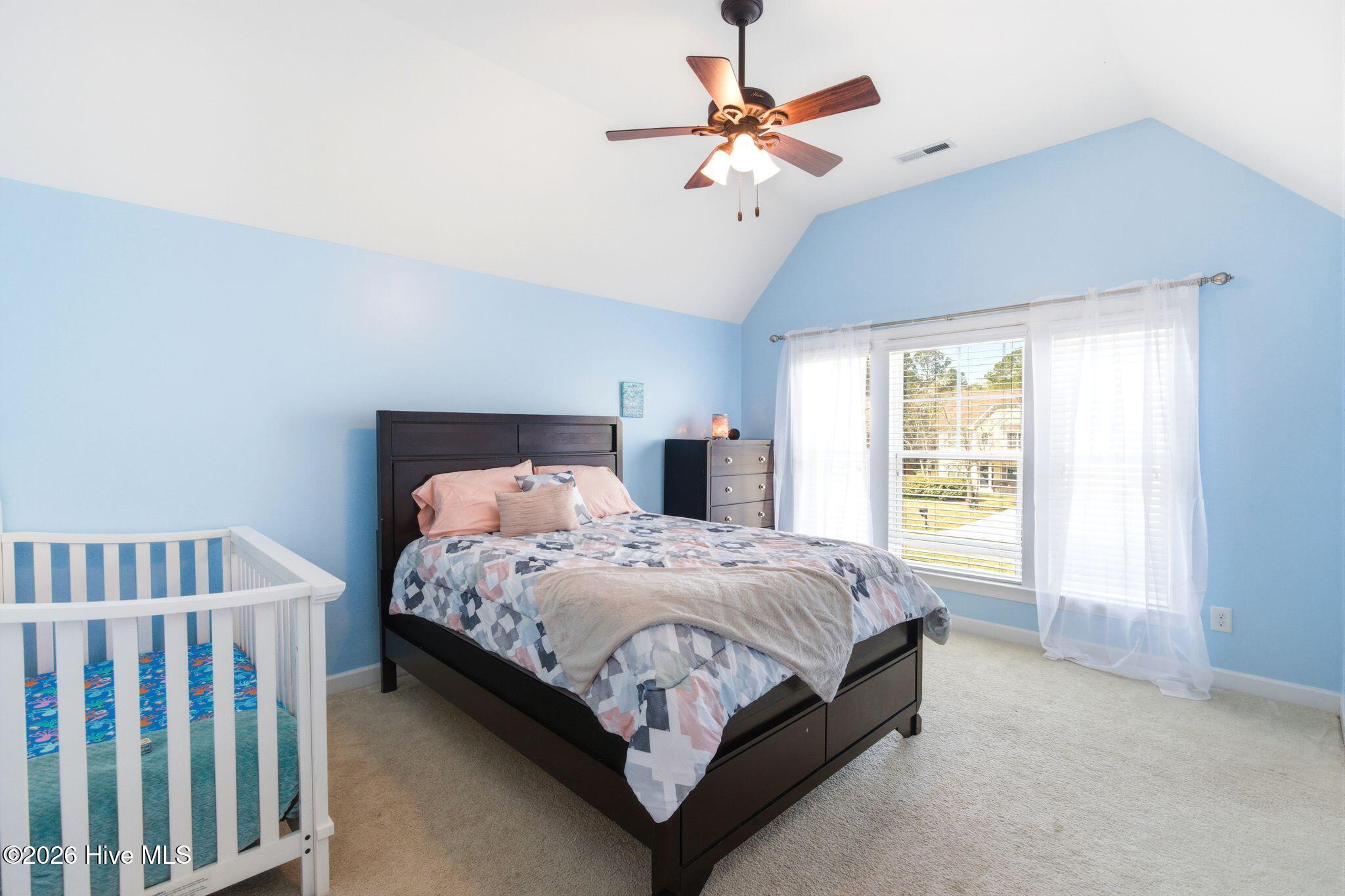 100563379 | Photo 43