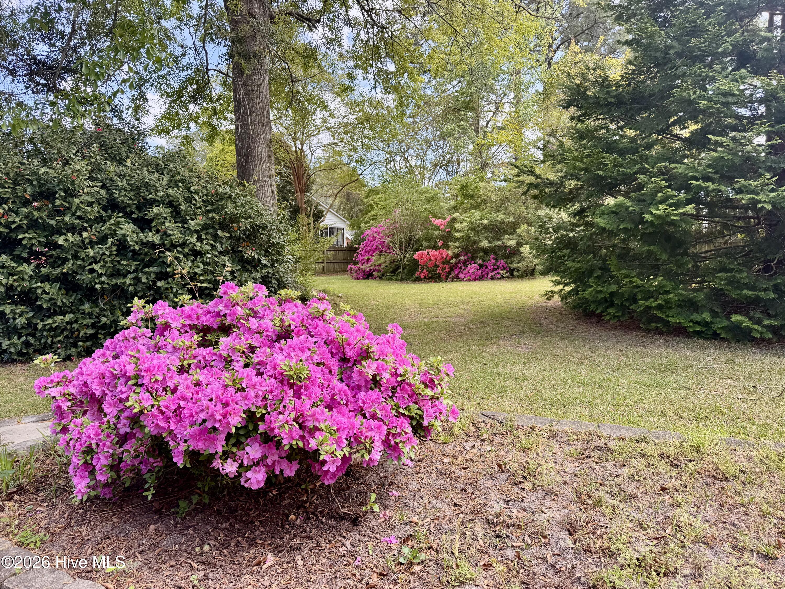 103 Alexis Court,New Bern