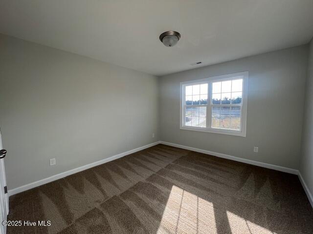 100563437 | Photo 17