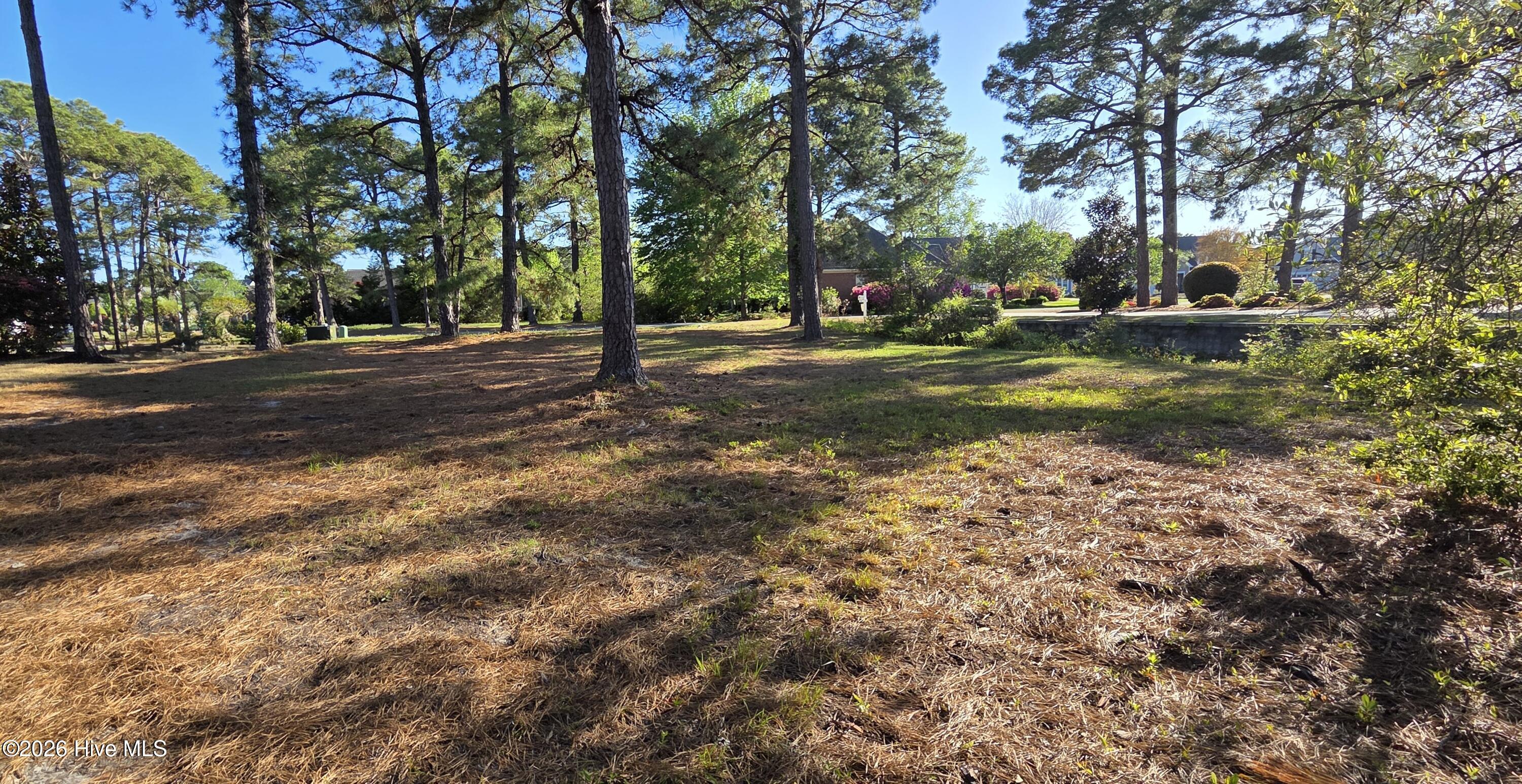 100566428 | Photo 10