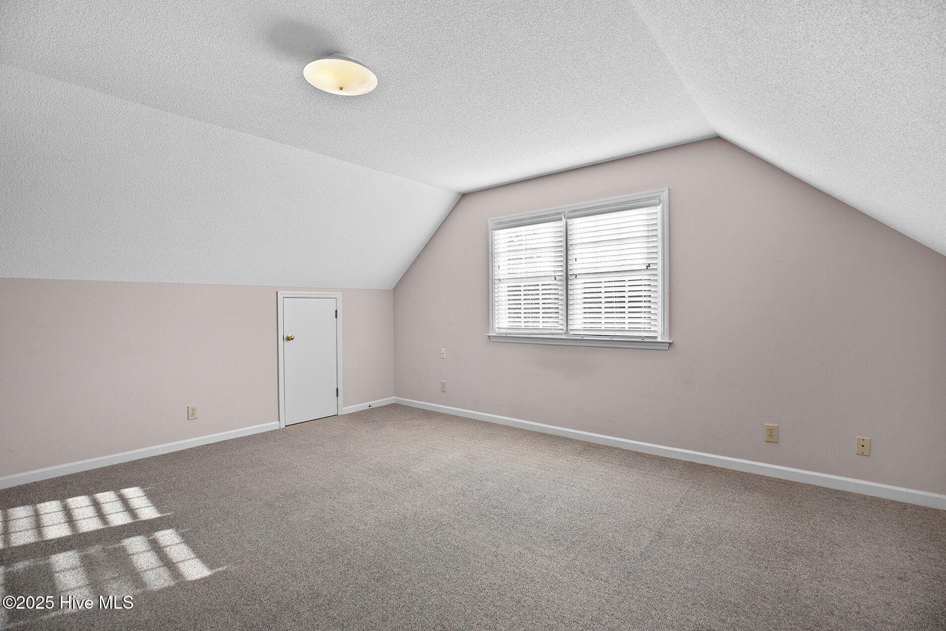 100541648 | Photo 45