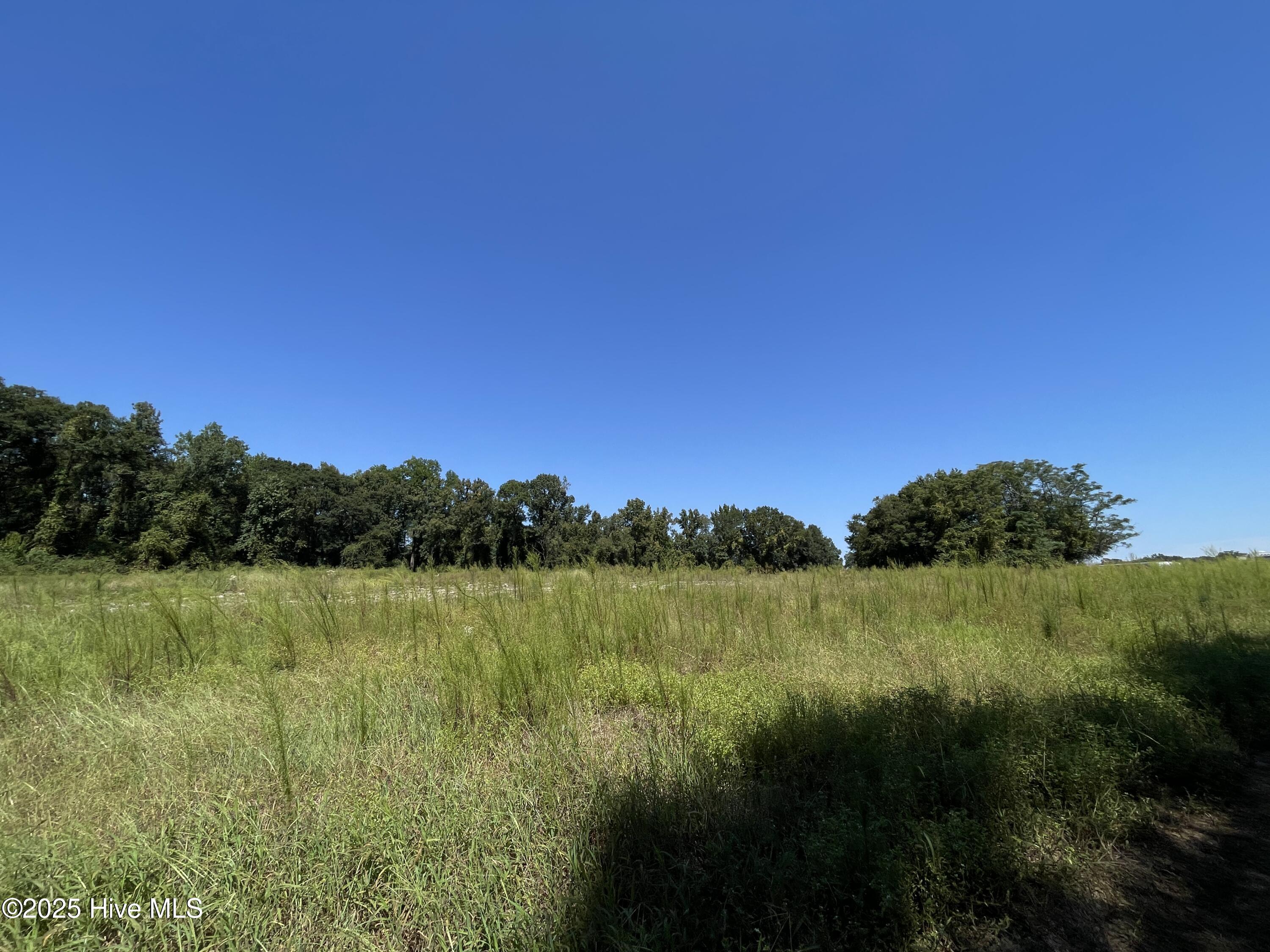 Homes for sale in Clinton, NC | 000 Sandy Ln, Clinton, NC 28328 | MLS# 100543691