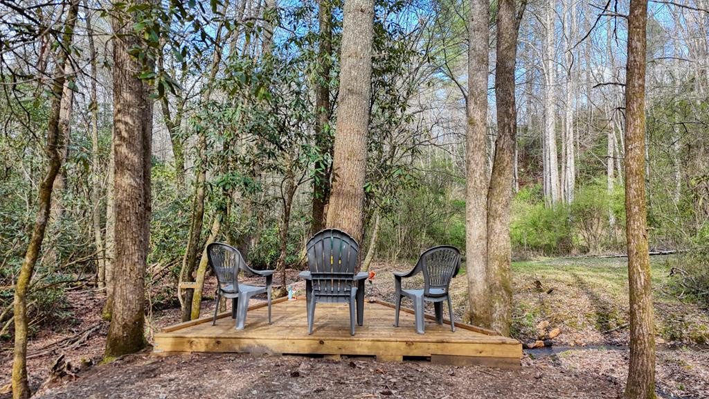 520 Farmer Drive, Murphy, NC 28906 Listing Photo  133