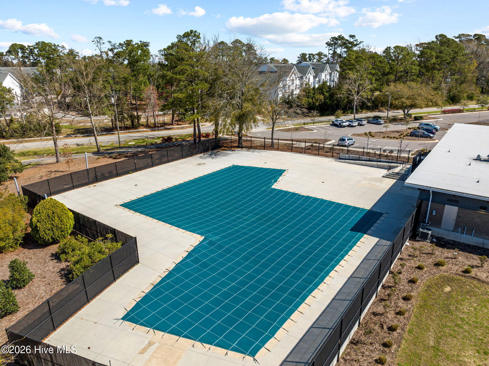 100557388 | Photo 64