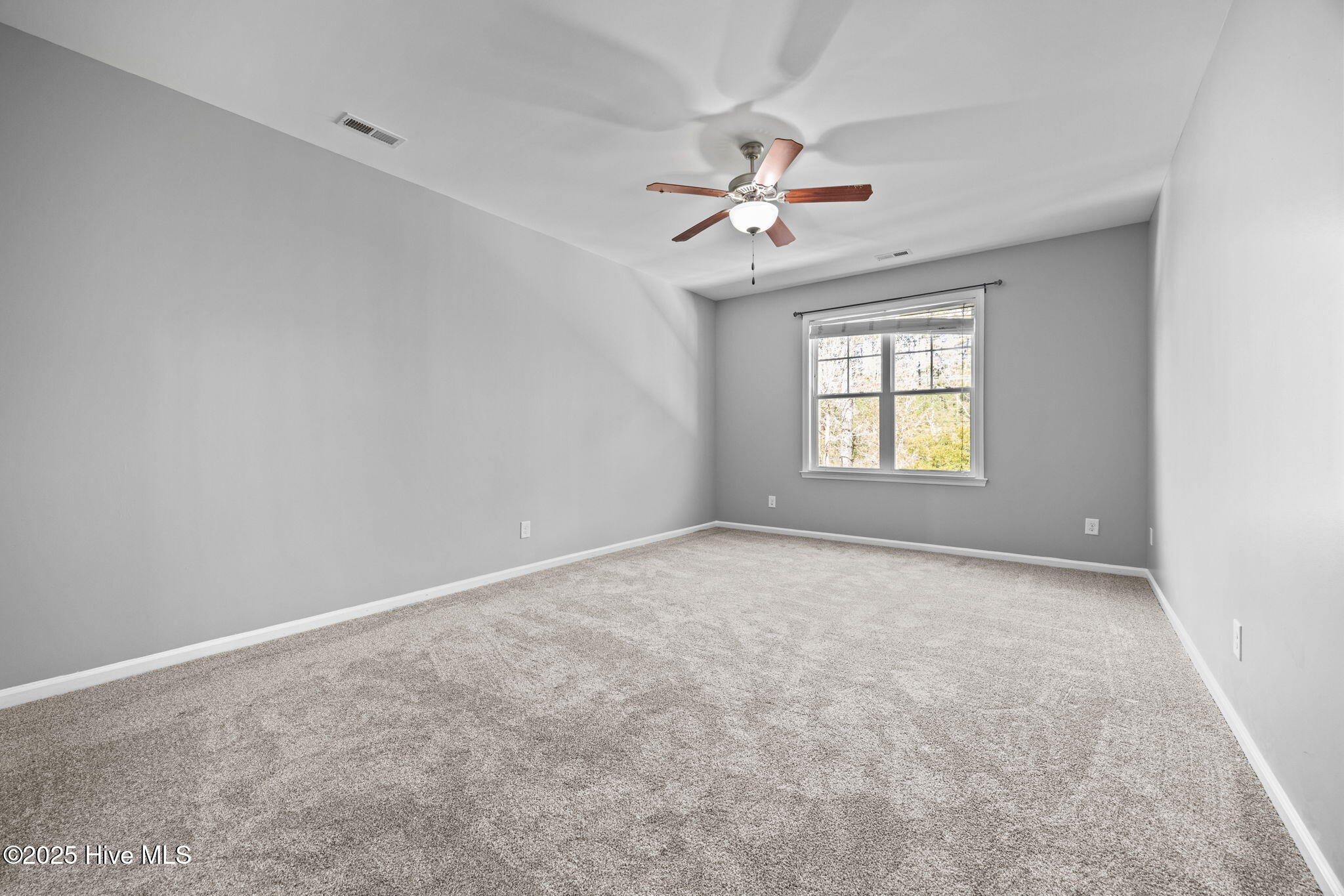 100533733 | Photo 10