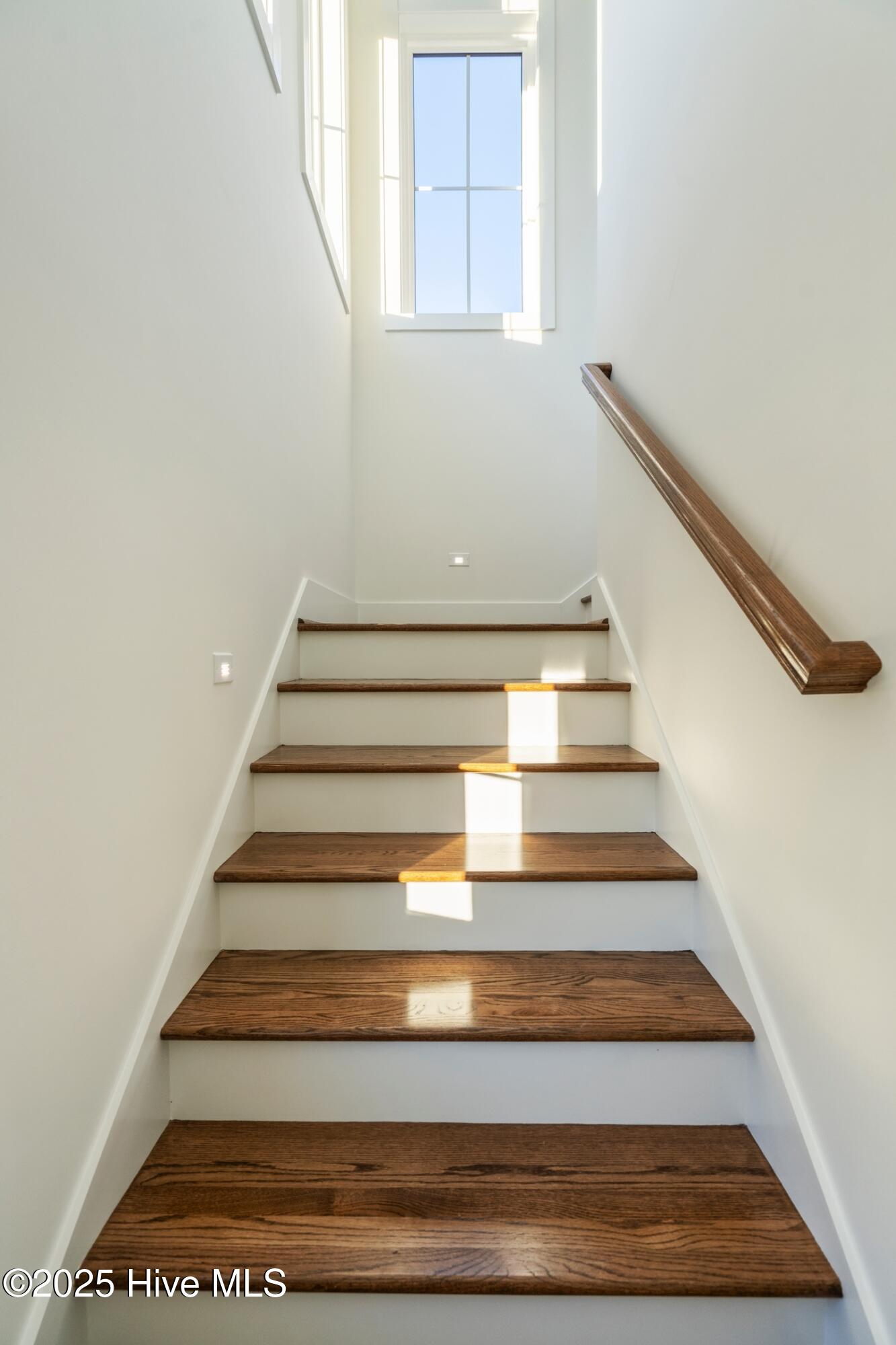 100545730 | Photo 58