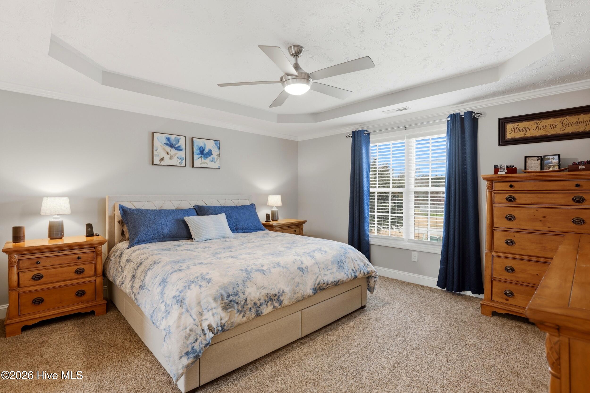 100558119 | Photo 18