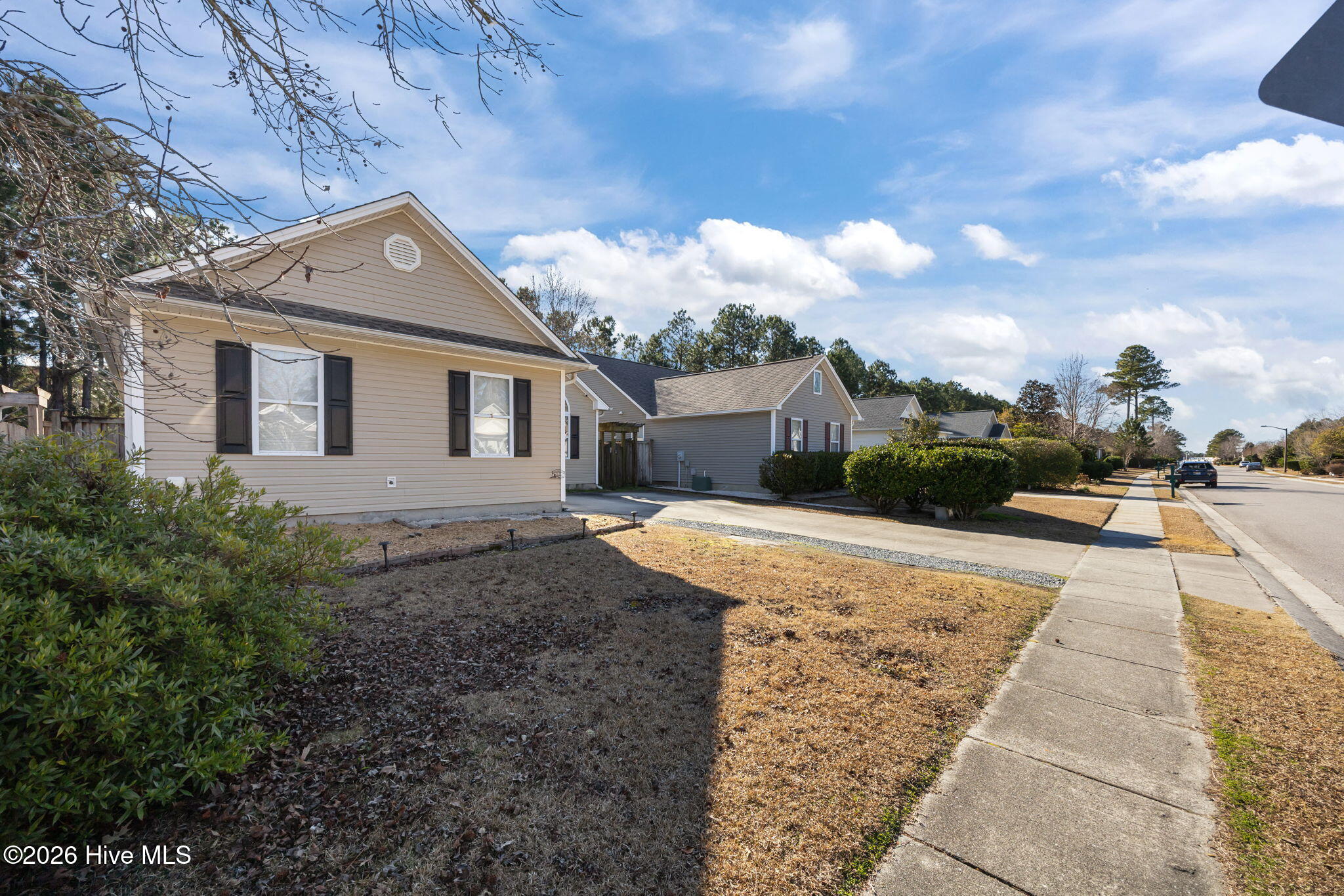 100549606 | Photo 36