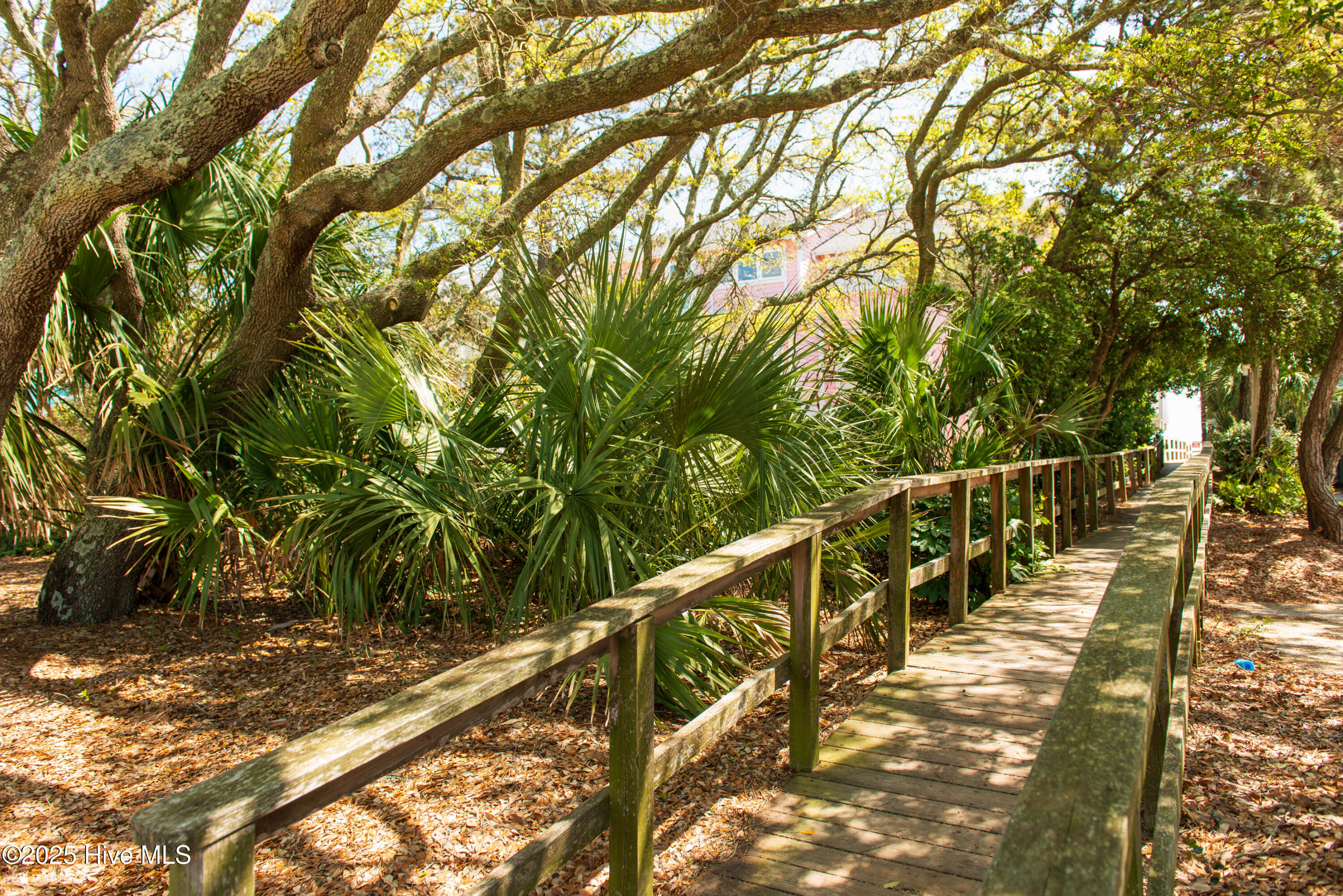 100556360 | Photo 66