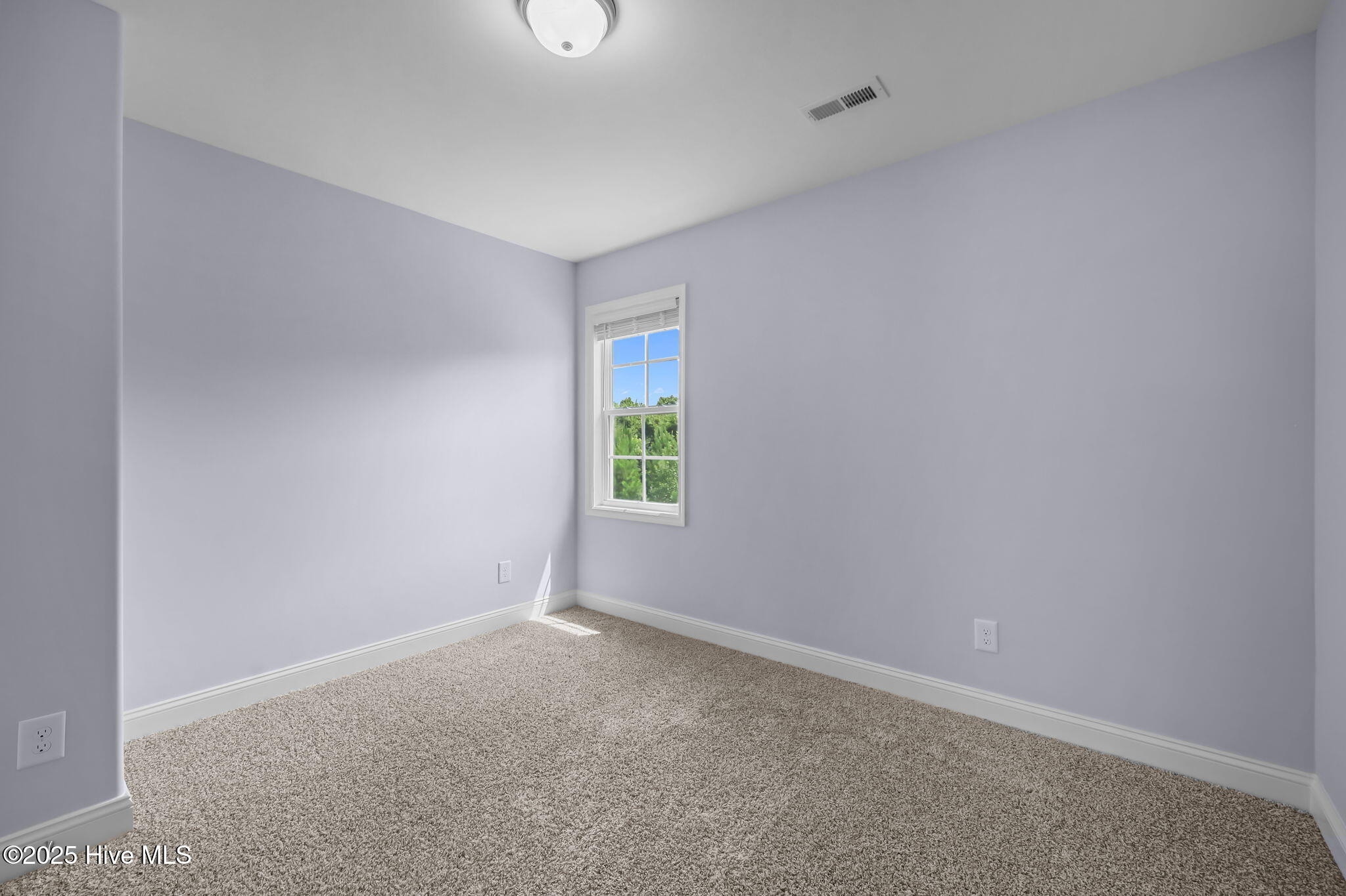 100519667 | Photo 26