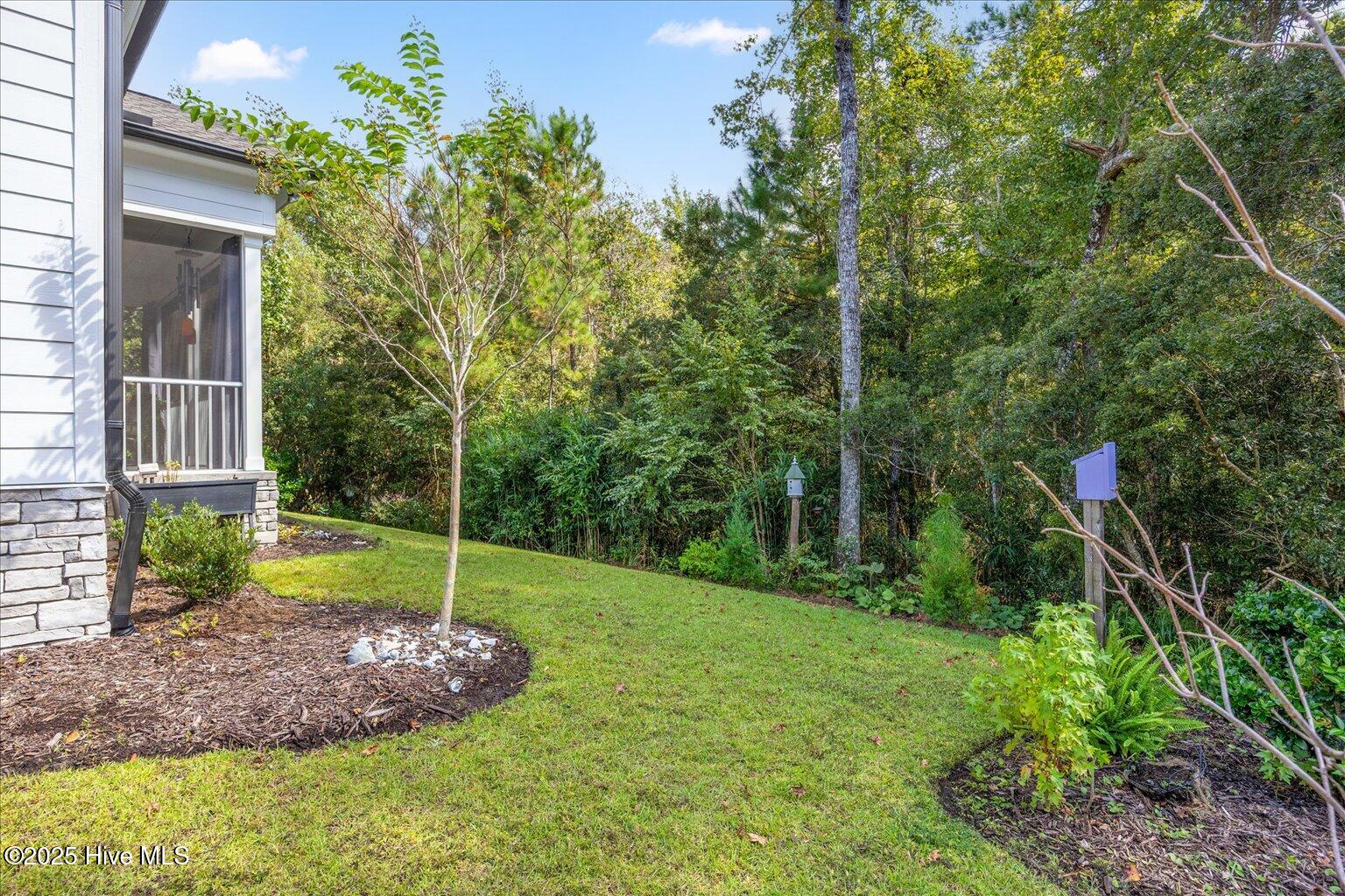 100533104 | Photo 42