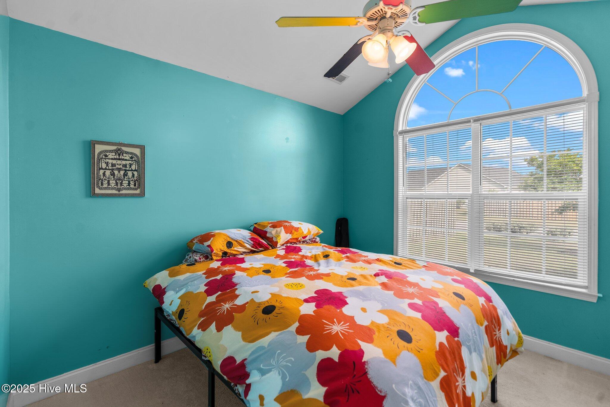 100504598 | Photo 26