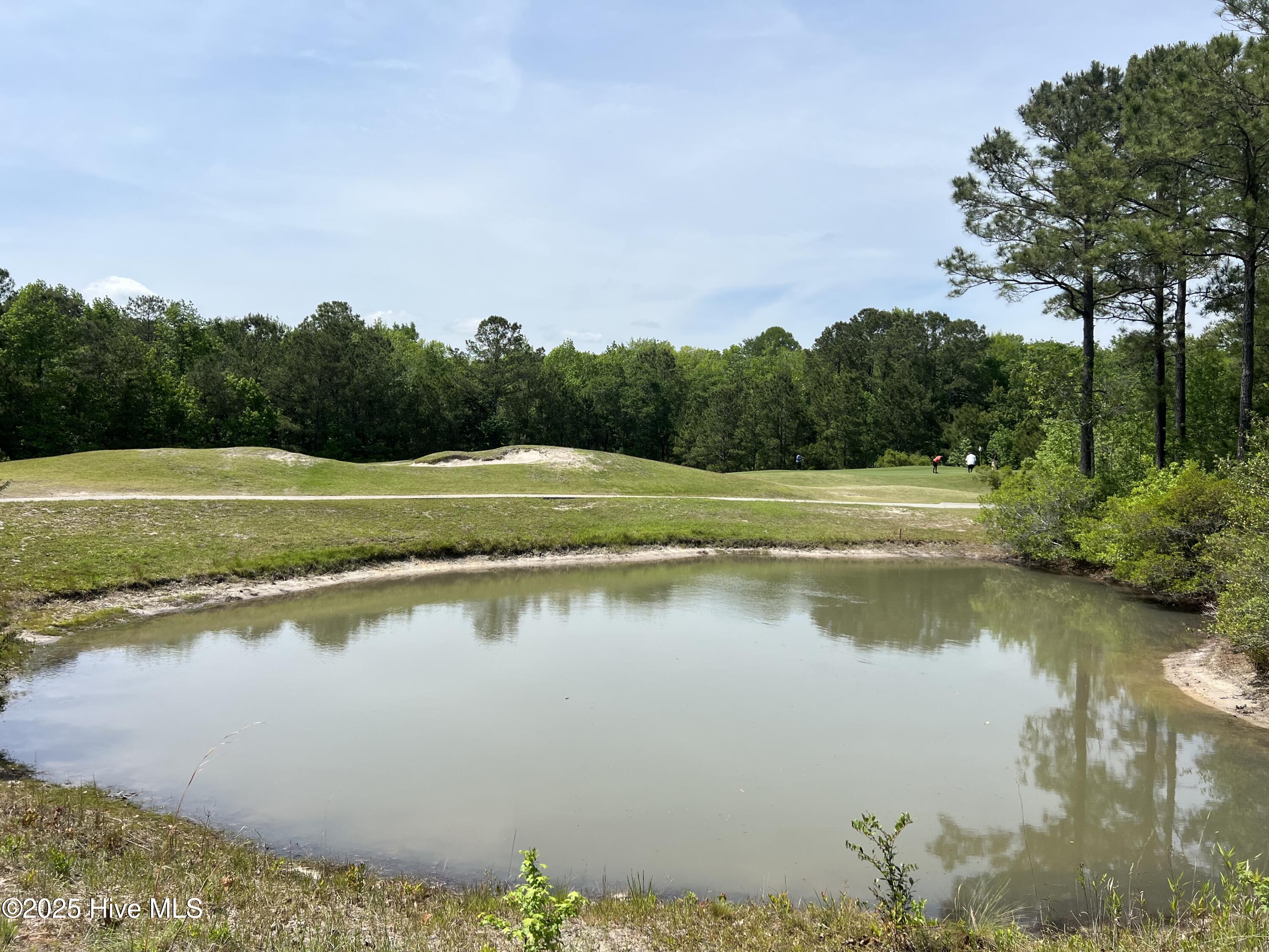 100506027 | Photo 15