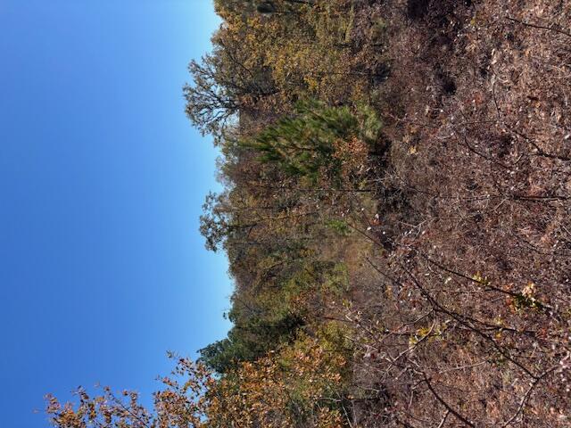 3391 Turnbuckle Lane SE, Southport, NC, 28461