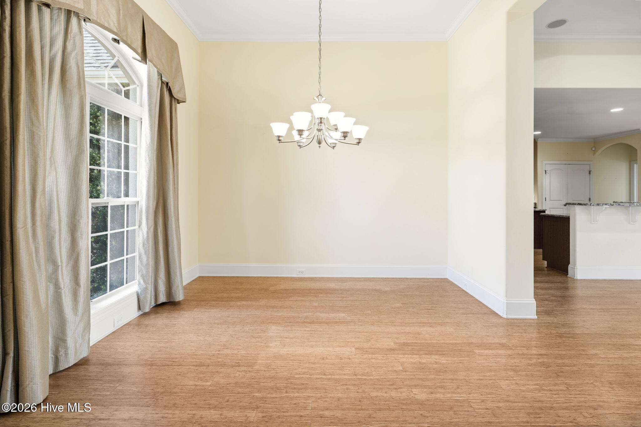 100568183 | Photo 10