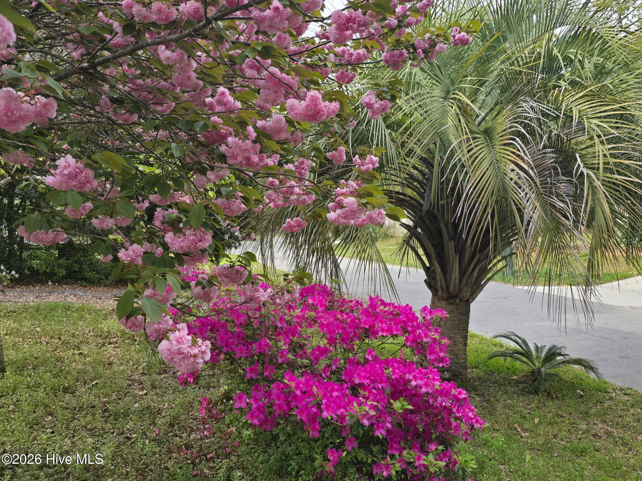 100549205 | Photo 69