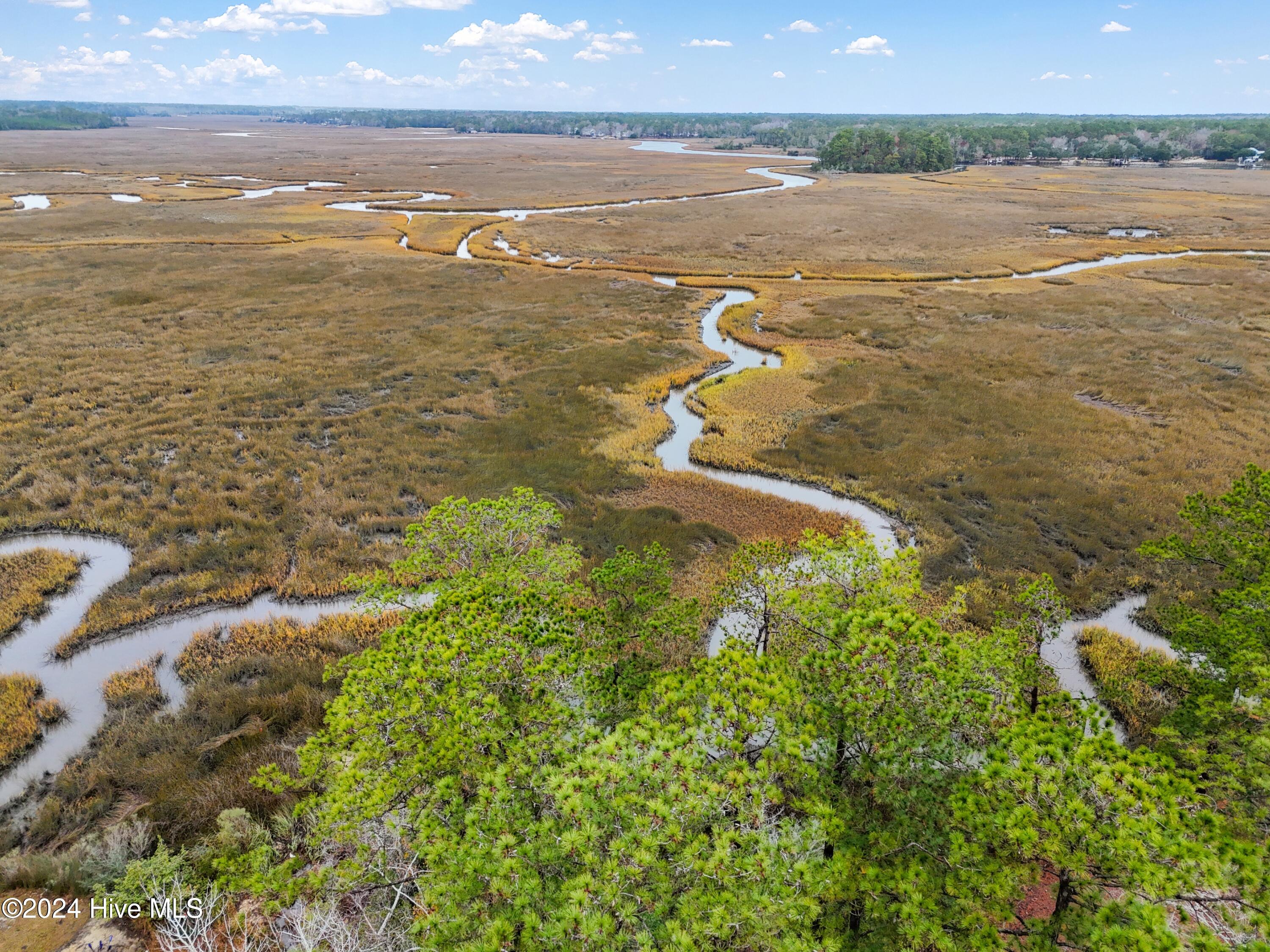 276 Chestnut Drive SW, Supply, NC, 28462