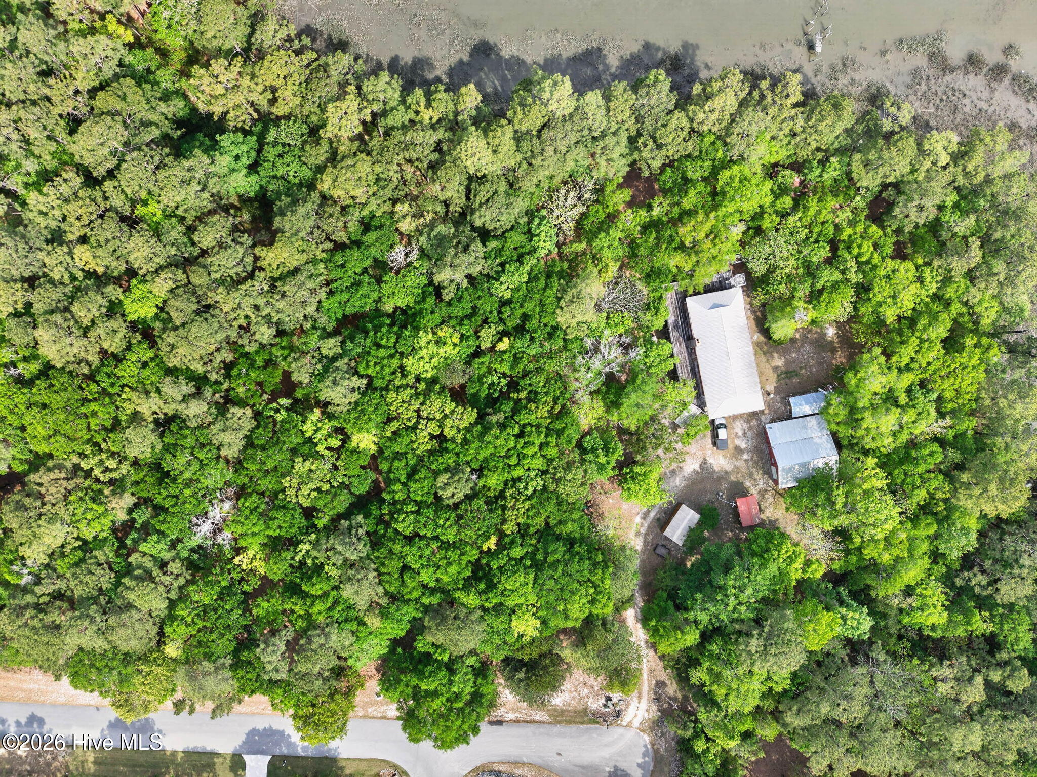 100570519 | Photo 15