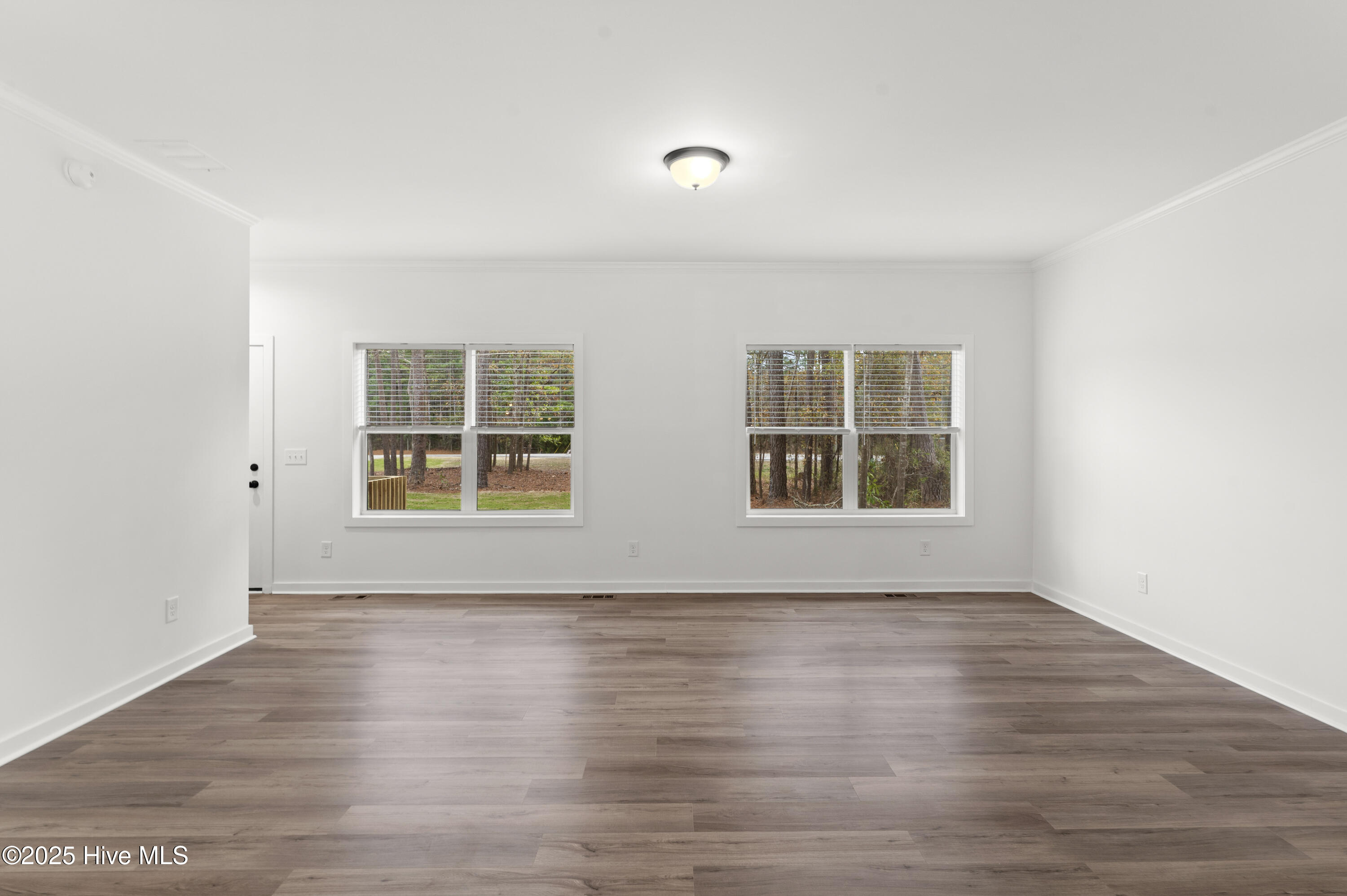 100546141 | Photo 13