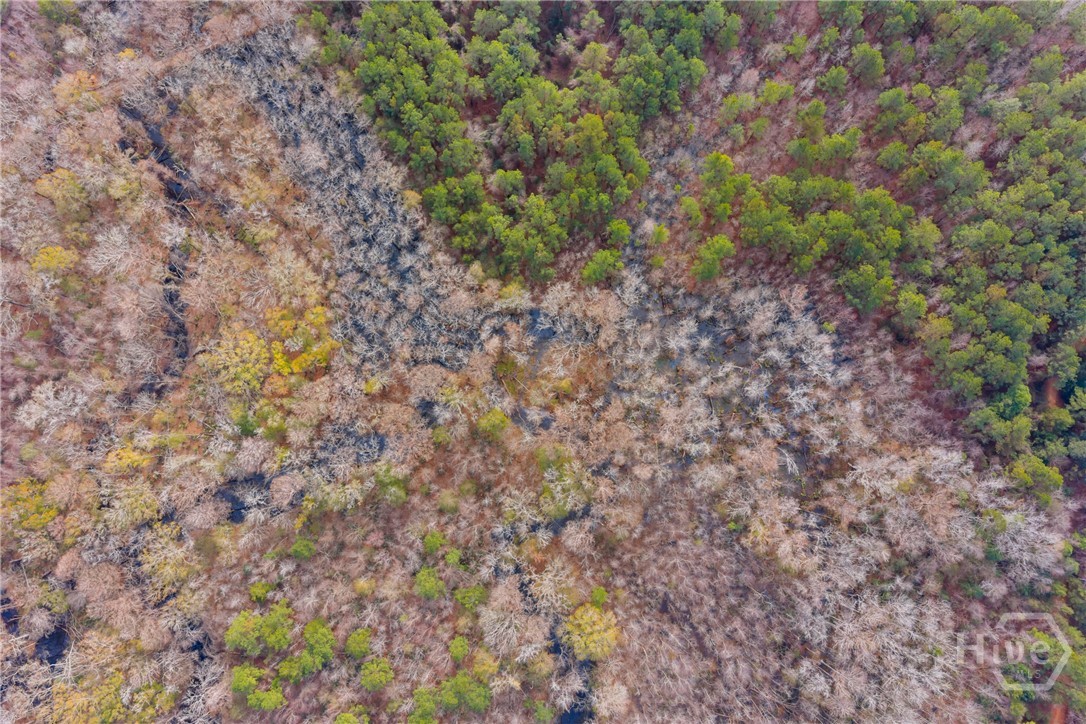 1000 Old River Road S, Brooklet, GA, 30415