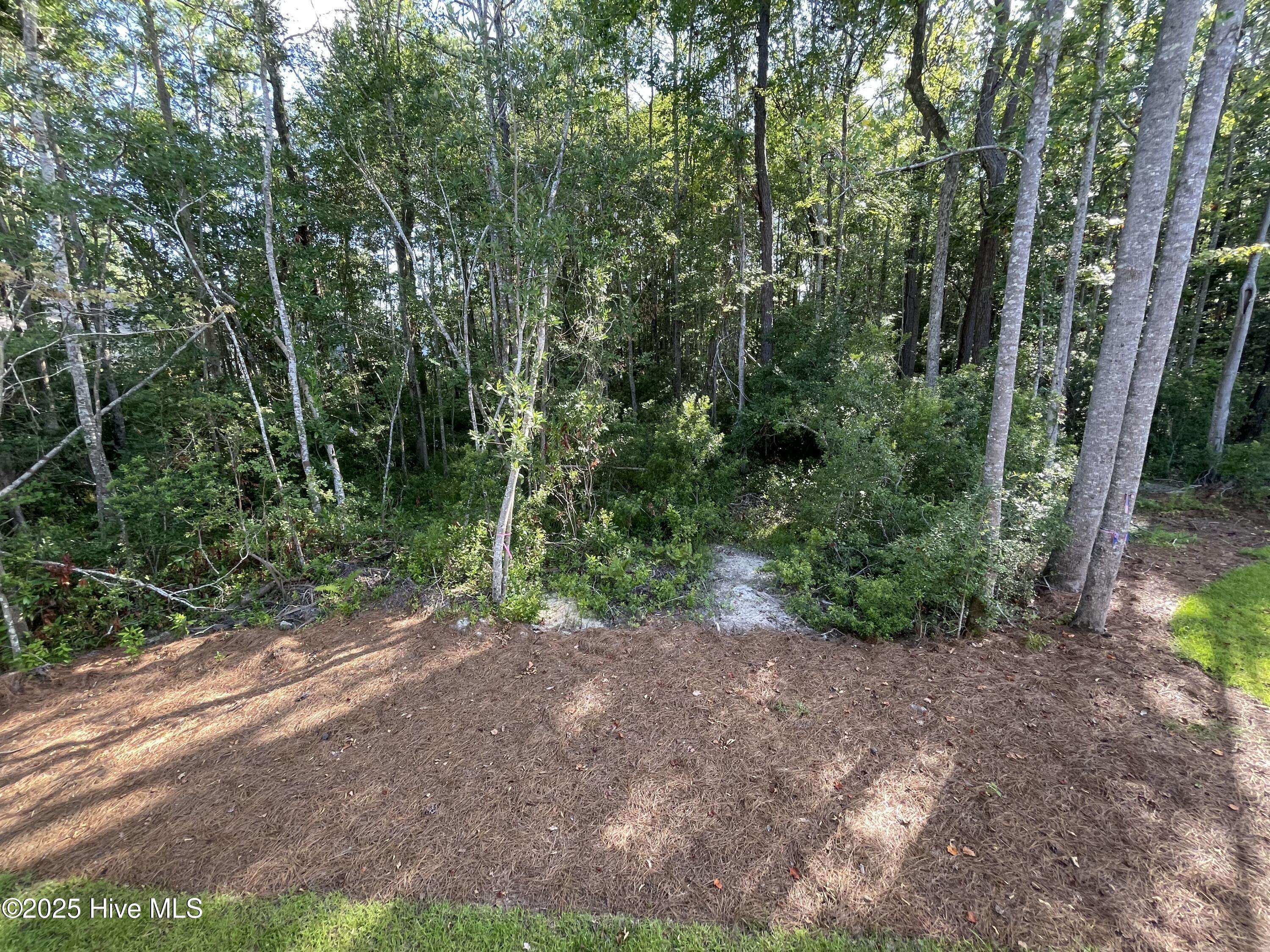 100422269 | Photo 16