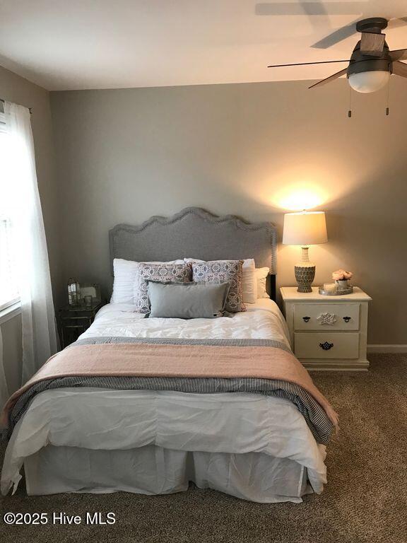 100564002 | Photo 15