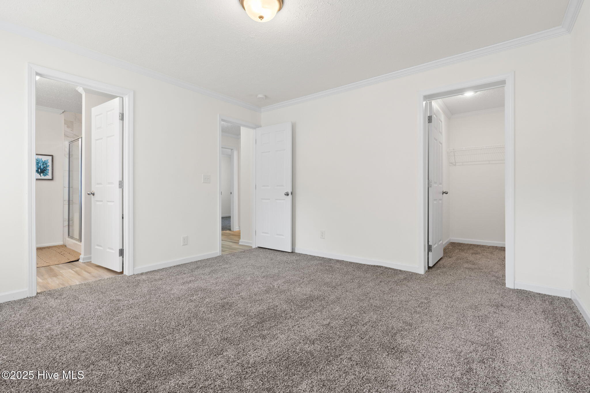 100542585 | Photo 16