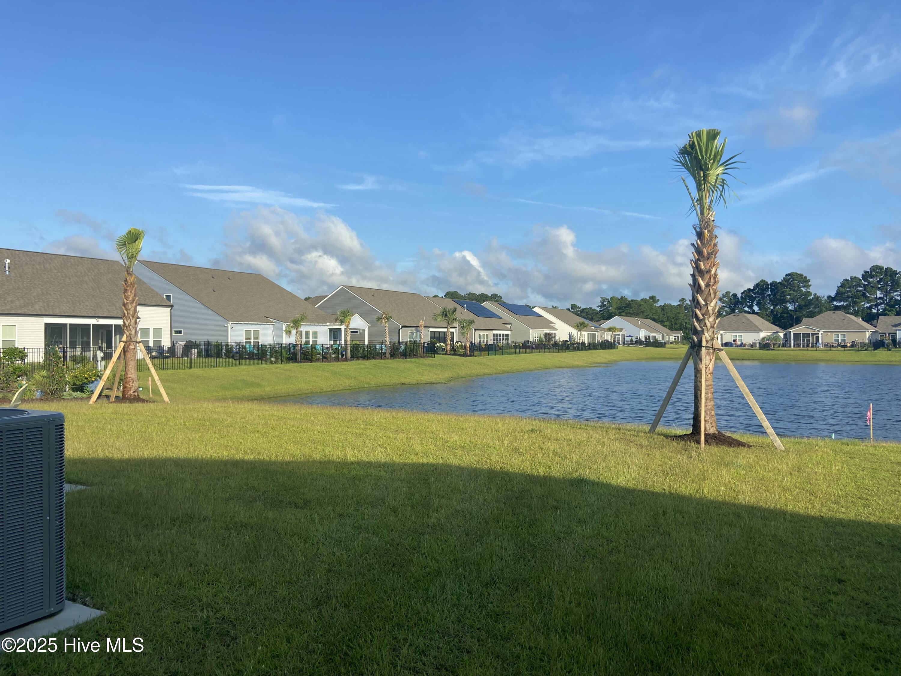 100536699 | Photo 23