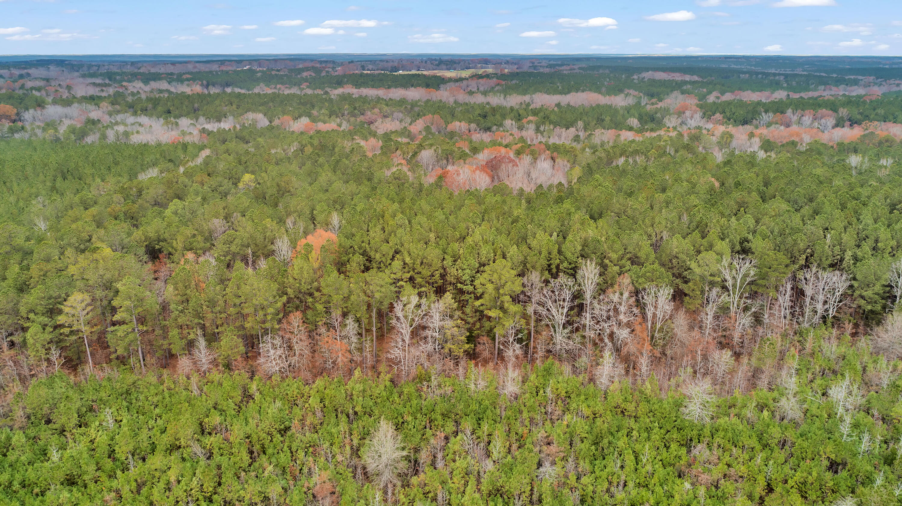 Saggus Rd land 121-007A, 200ft View, Dro