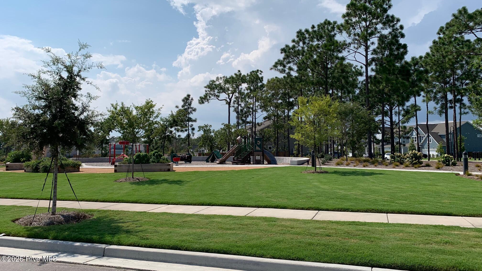 100524366 | Photo 101