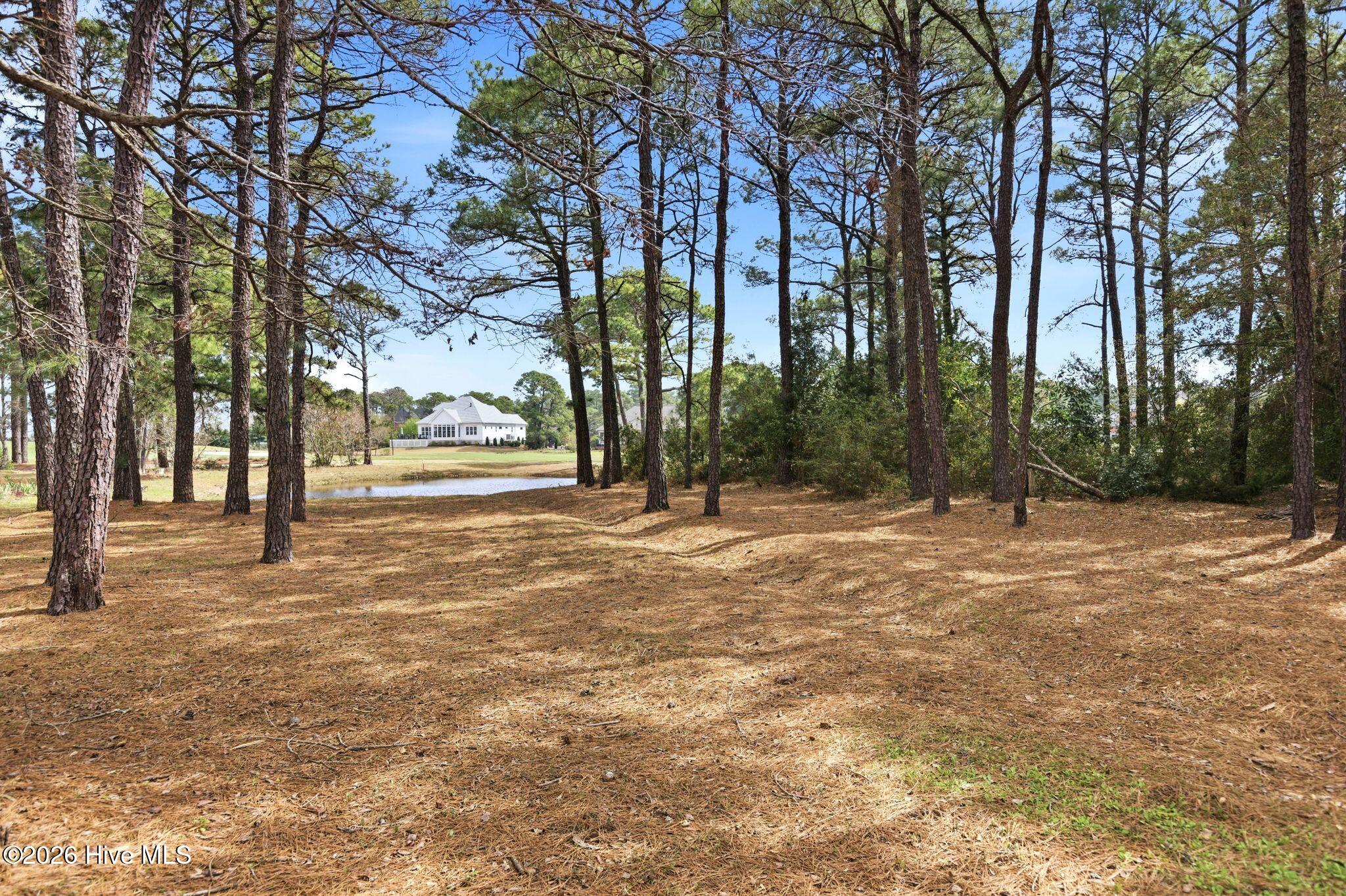 100564231 | Photo 67